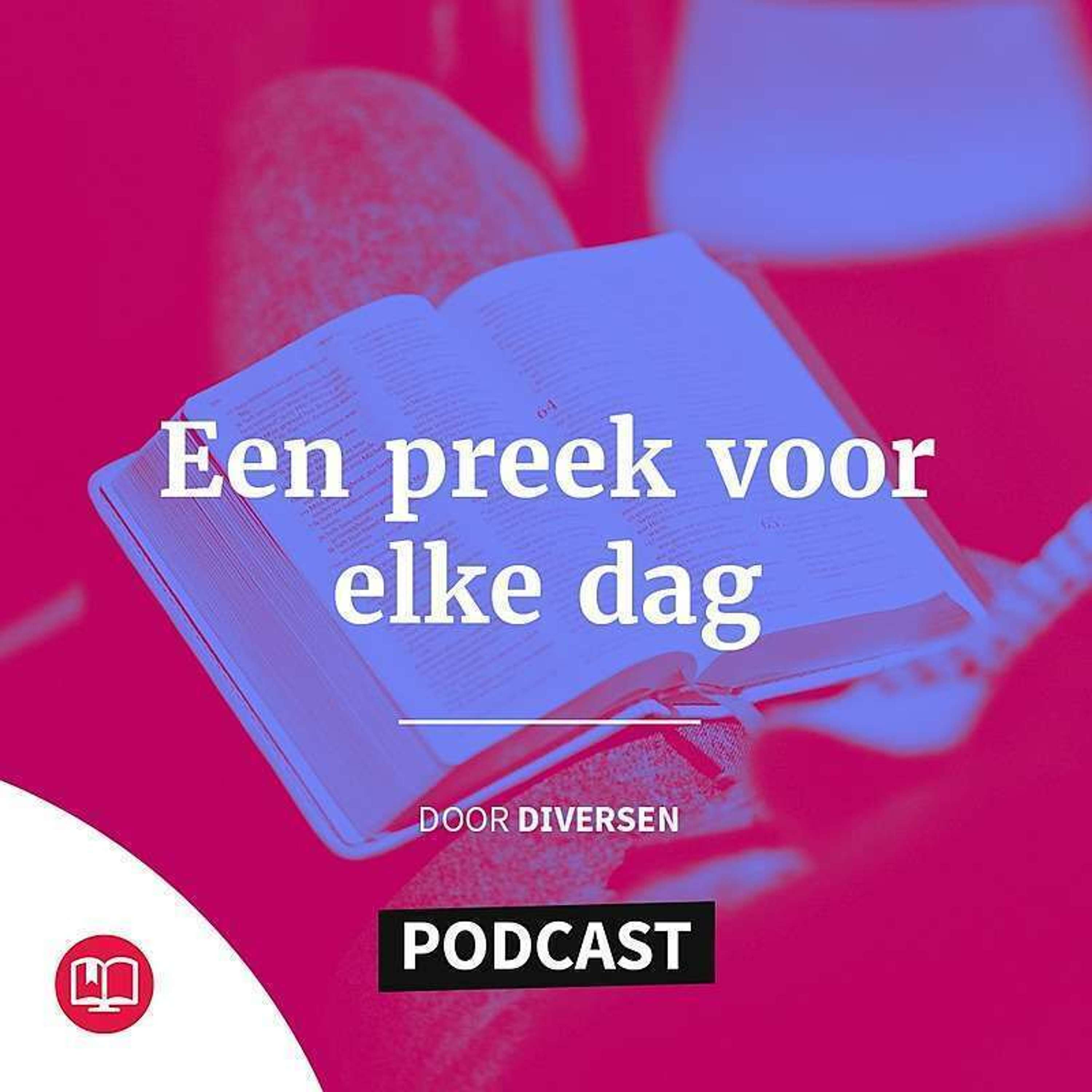 Prekenserie Petrus #10 | De Levende Steen | 1 Petrus 2: 4b-6