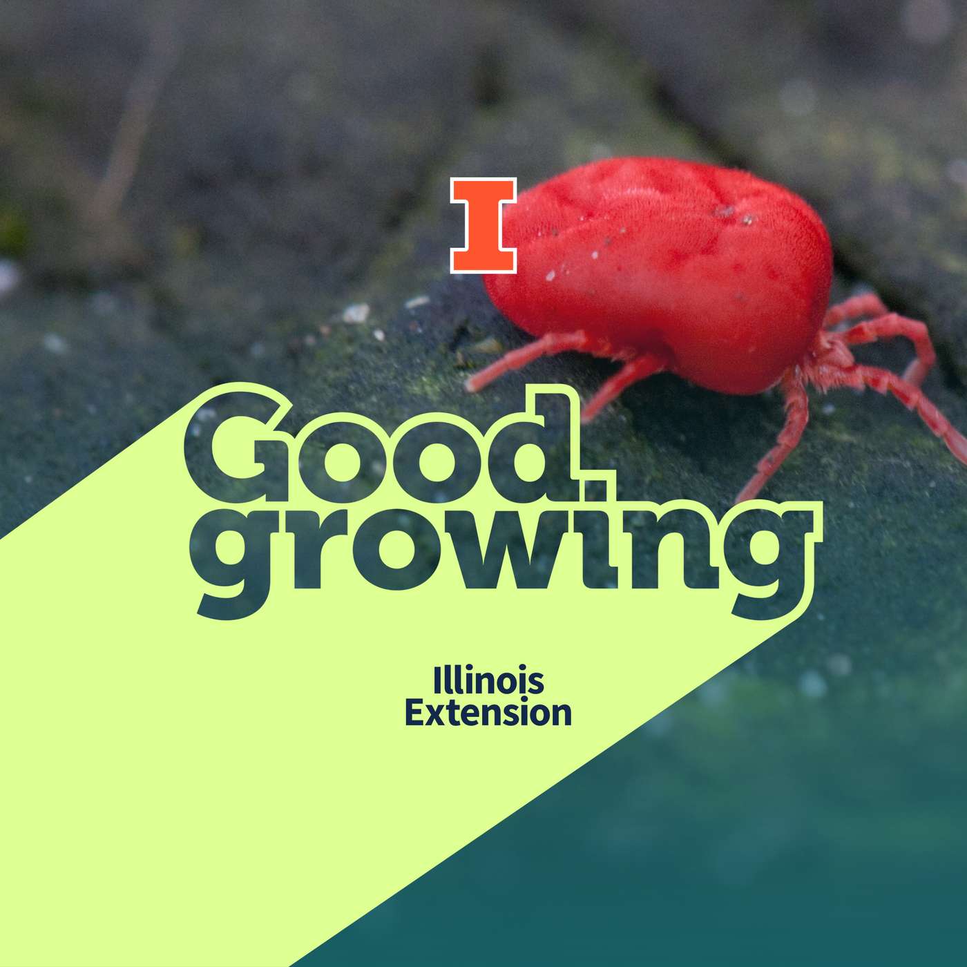 Good Growing