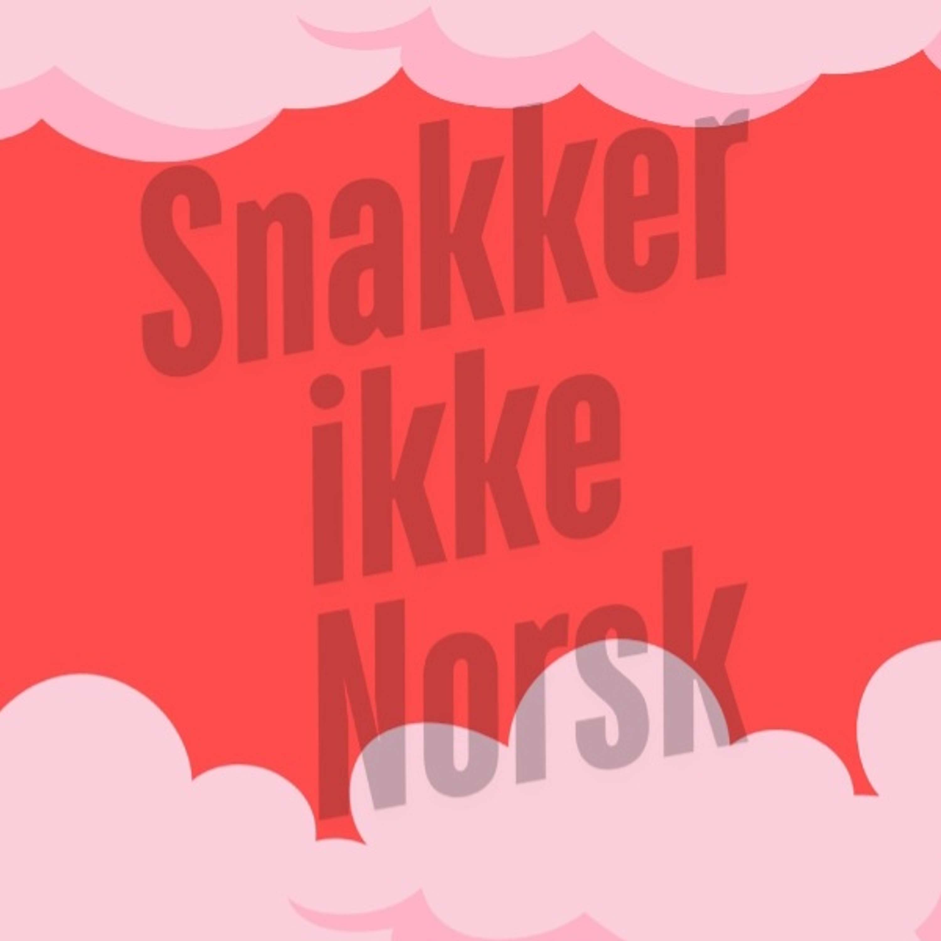 Snakker Ikke Norsk