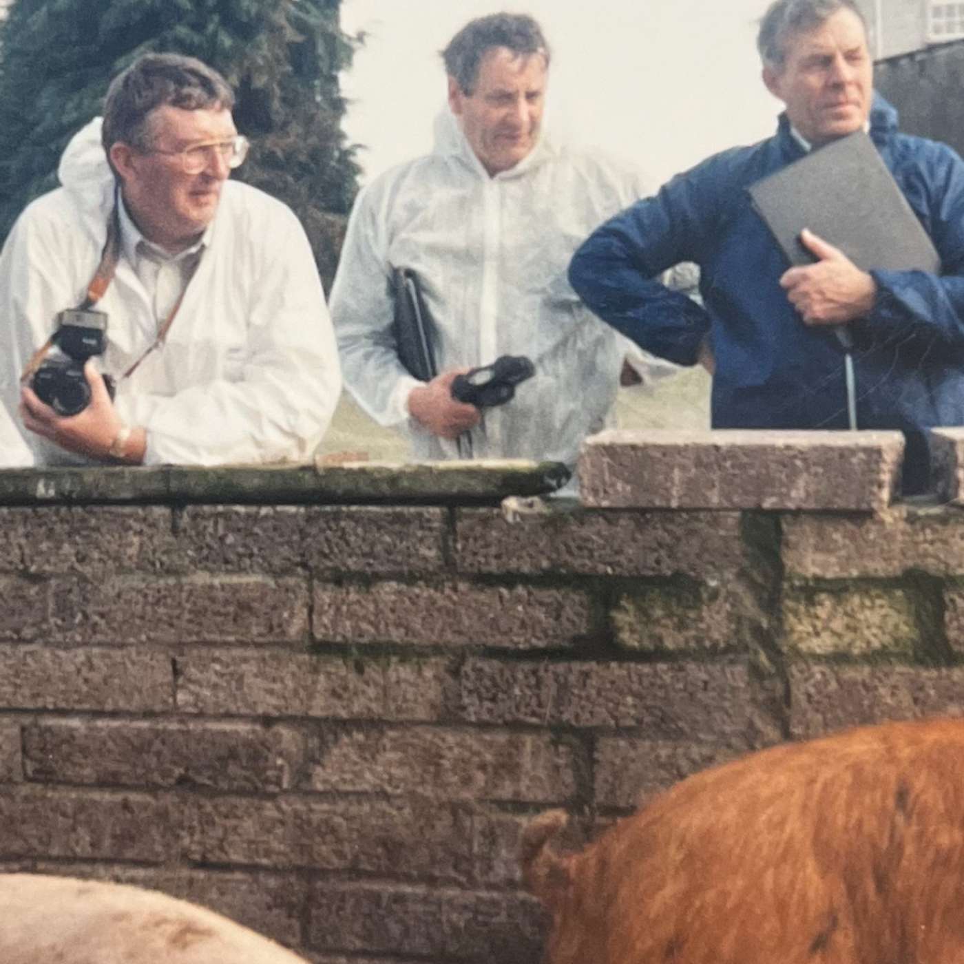 Brendan Lynch and Michael Martin look back on the changes & challenges of the Irish pig industry