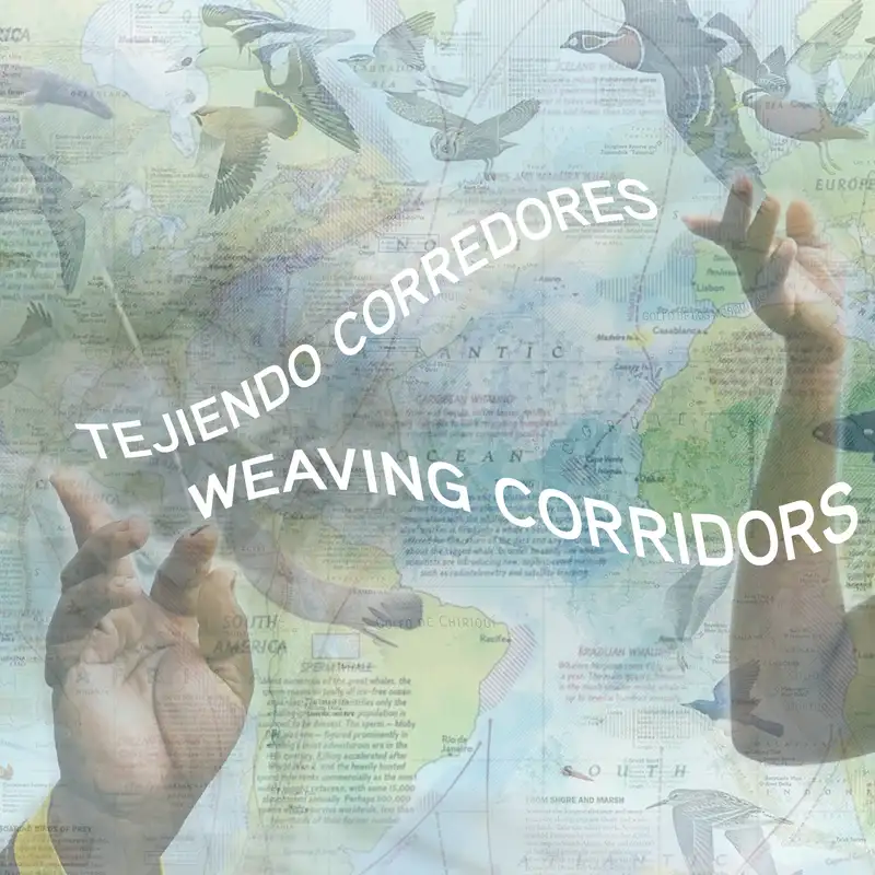 Almanaque Azul y su mapa de Corredores naturales de Panamá