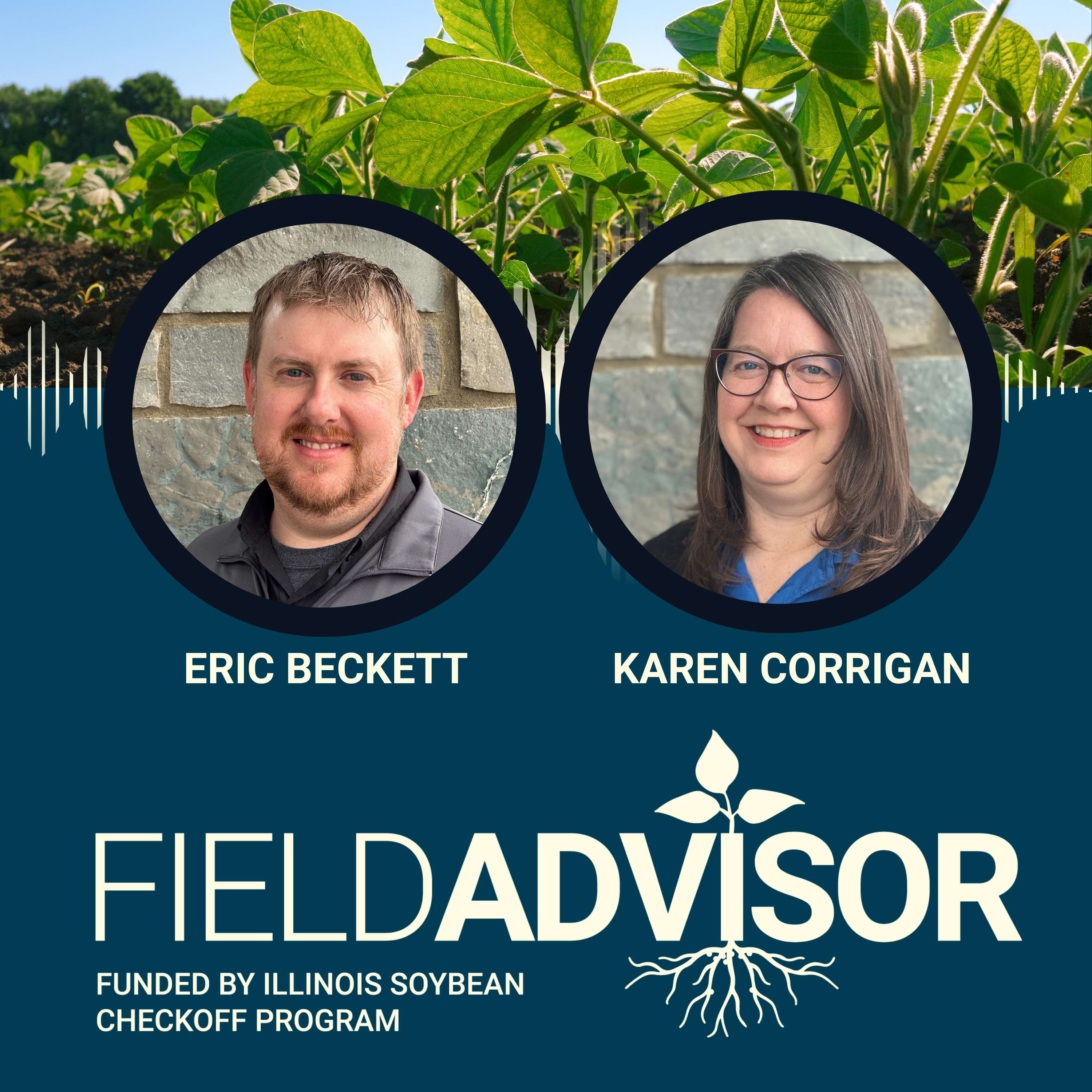 Field Advisor