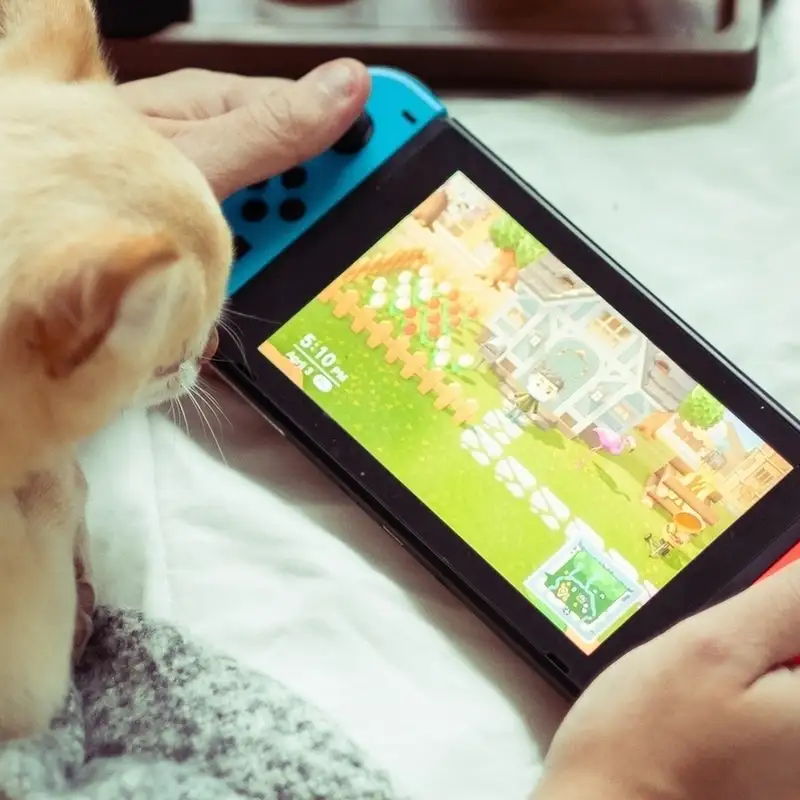 Nintendo Switch Special: Models, Games, SD Card Management, and More!