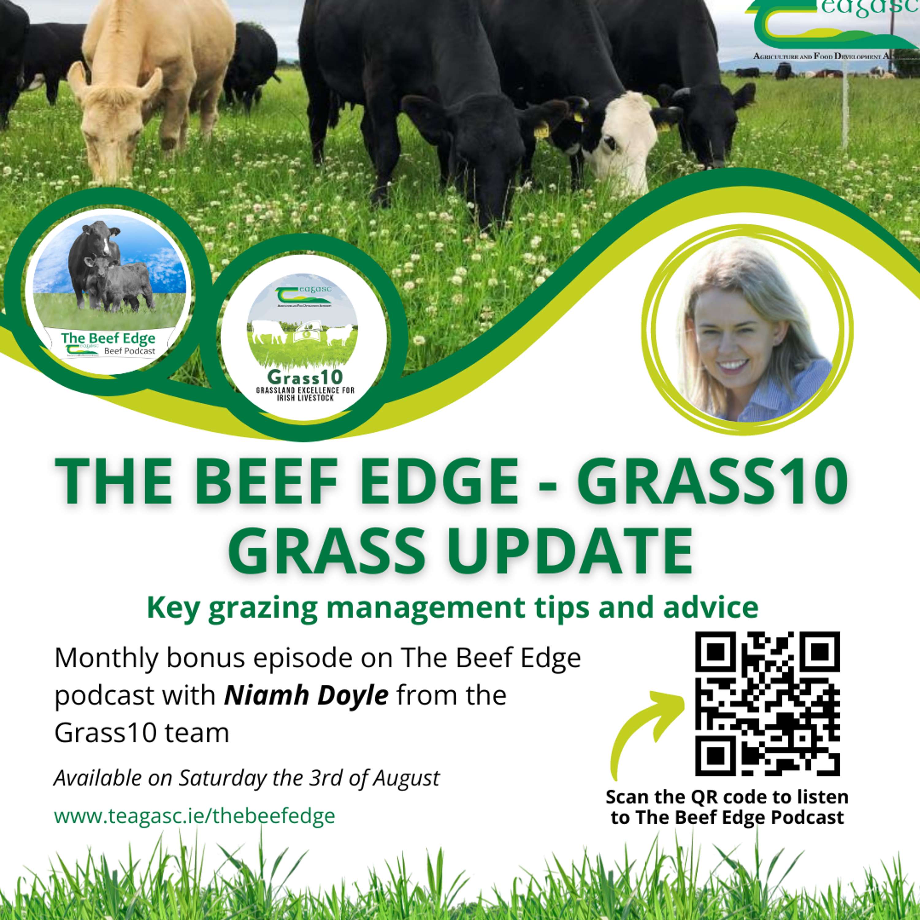 The Monthly Grass10 Update with Niamh Doyle including grassland management tips for September