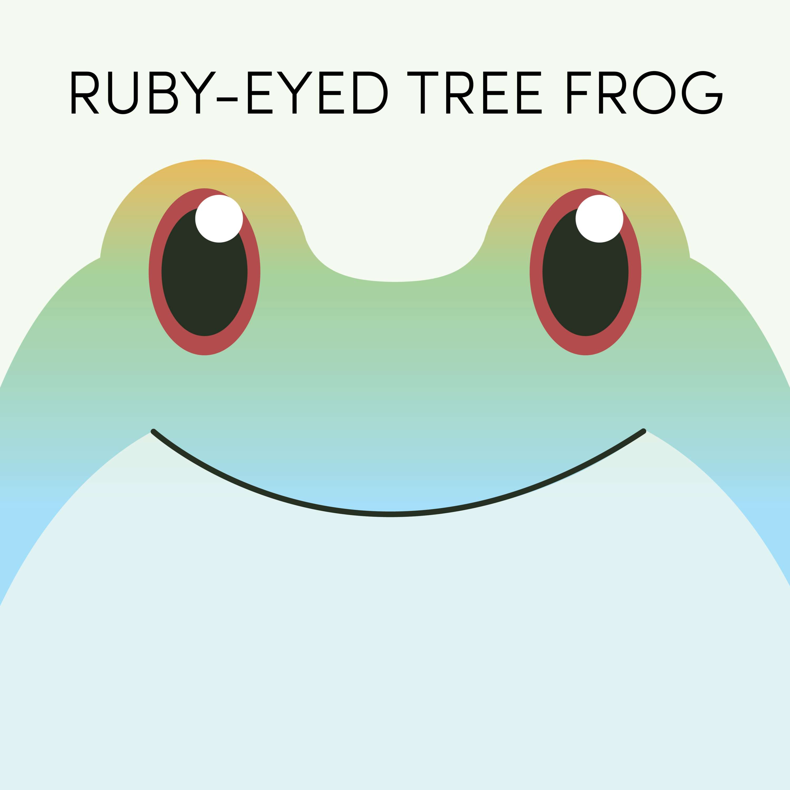 Ruby-Eyed Tree Frog | Week of June 28th