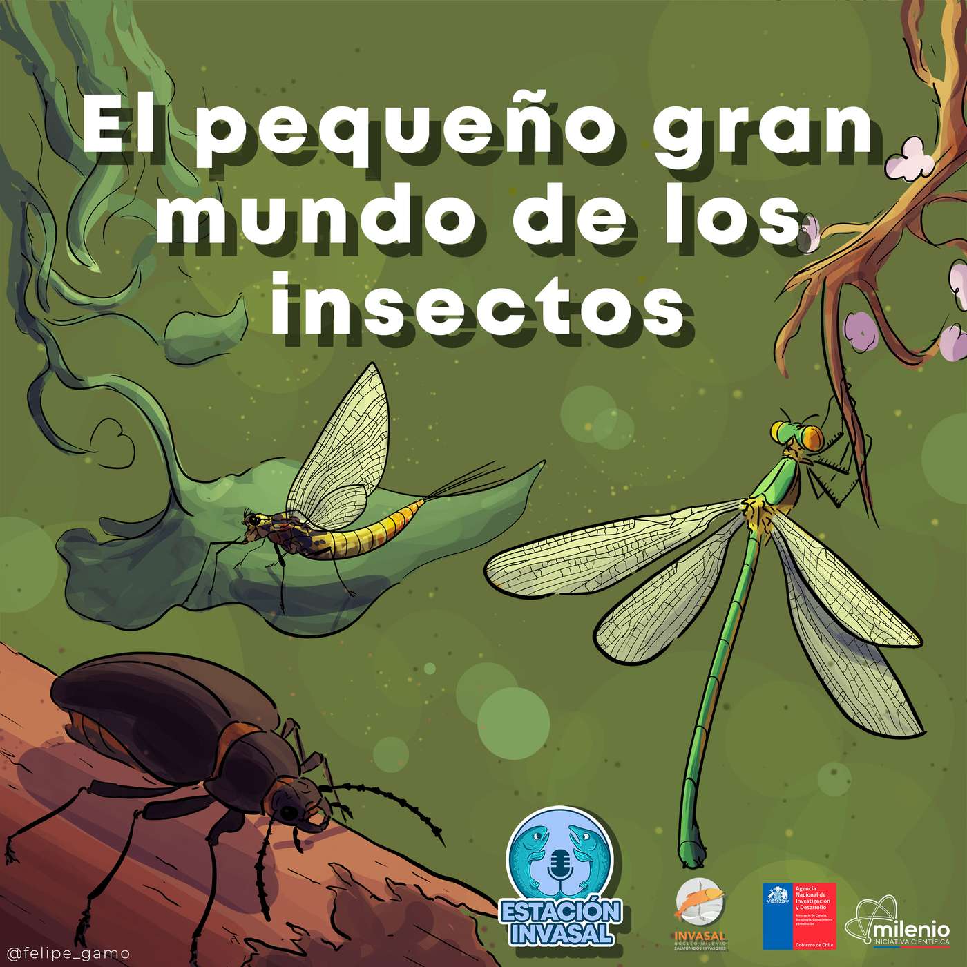 Ep 5 - El pequeño gran mundo de los insectos Ep 5 - El pequeño gran mundo de los insectos