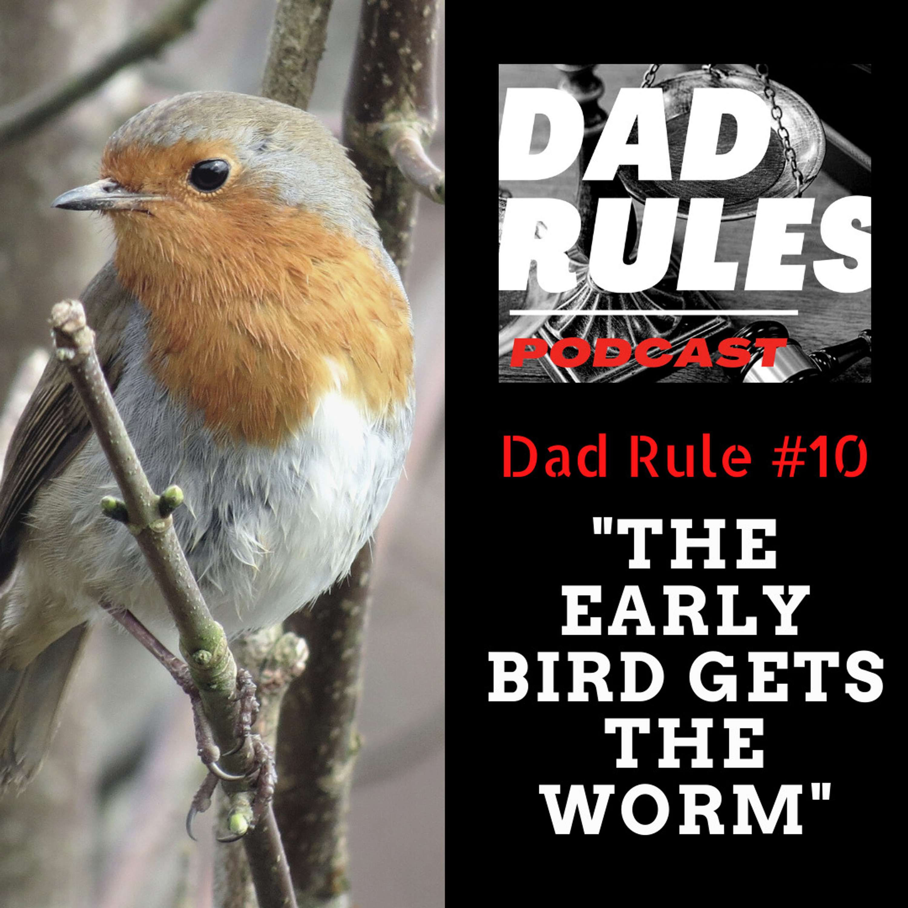 The Dad Rules Podcast