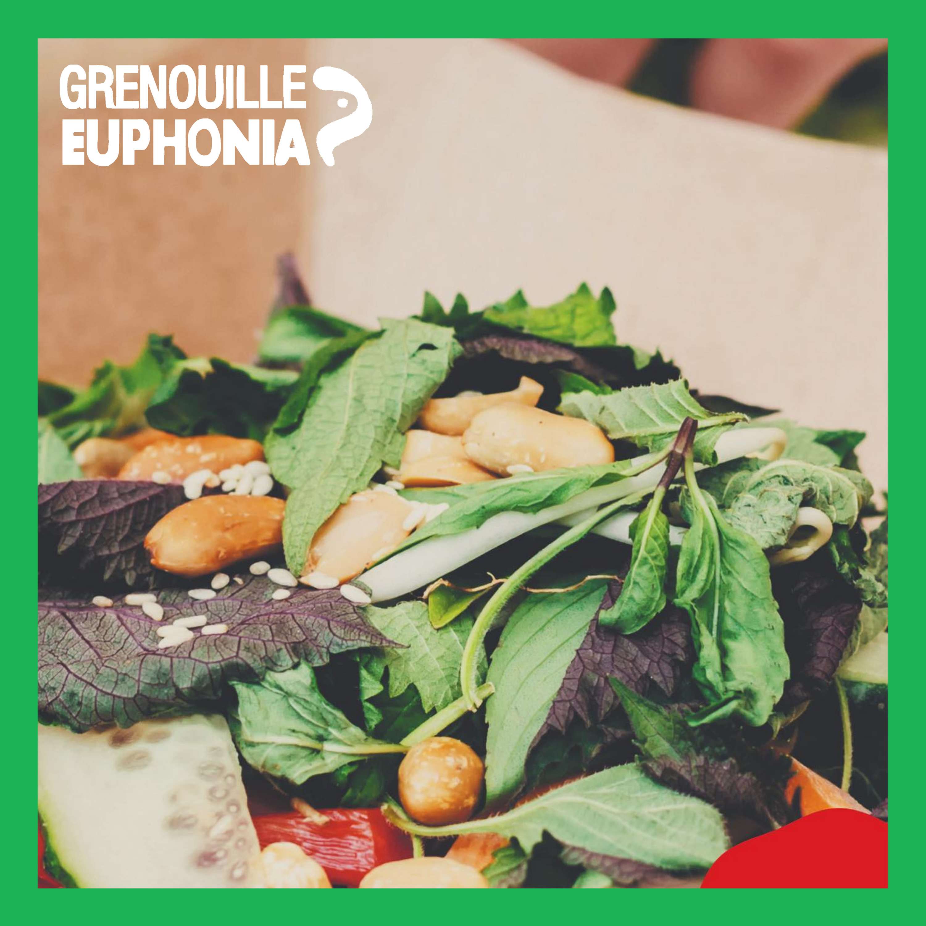 Radio Grenouille au Street Food Festival