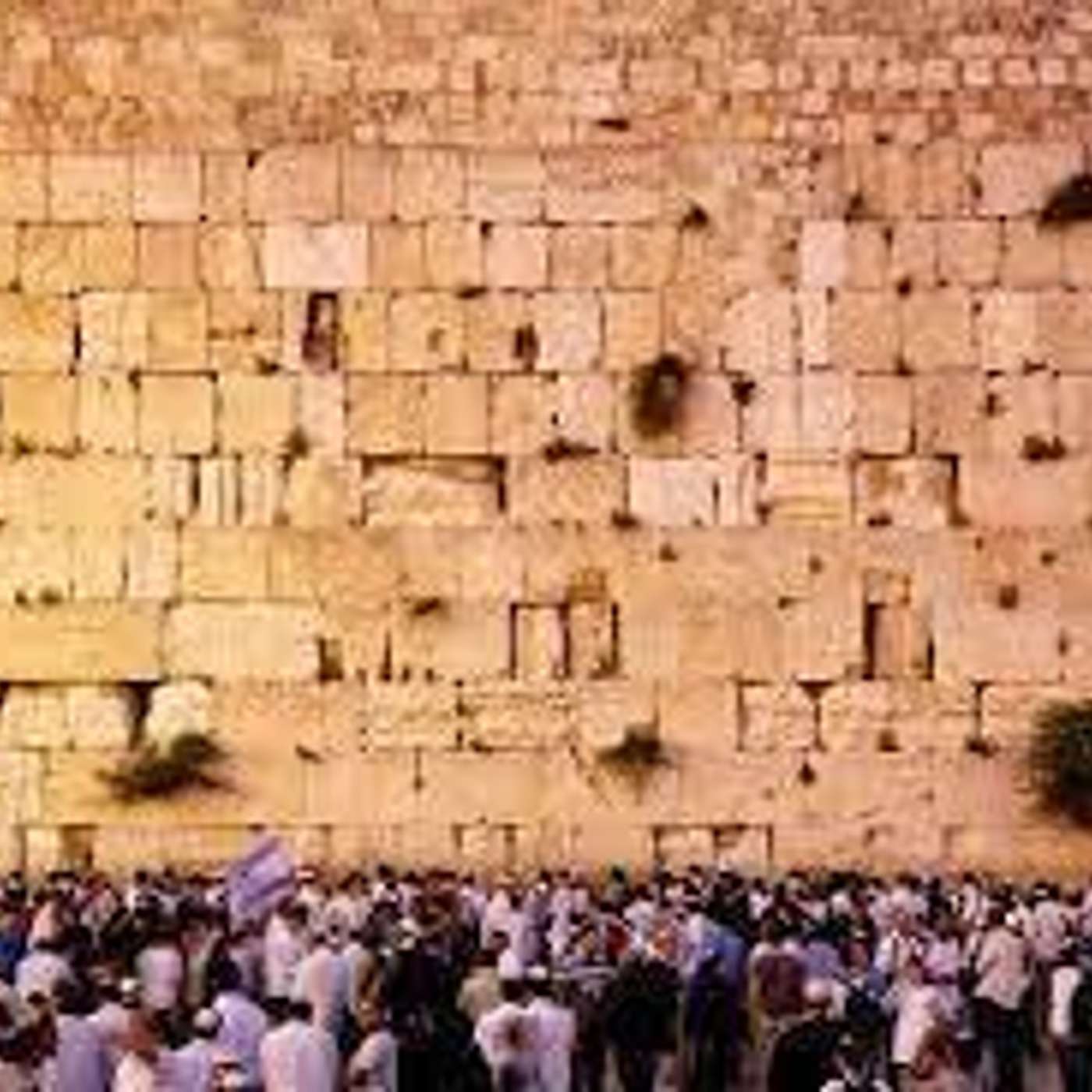 The Siddur