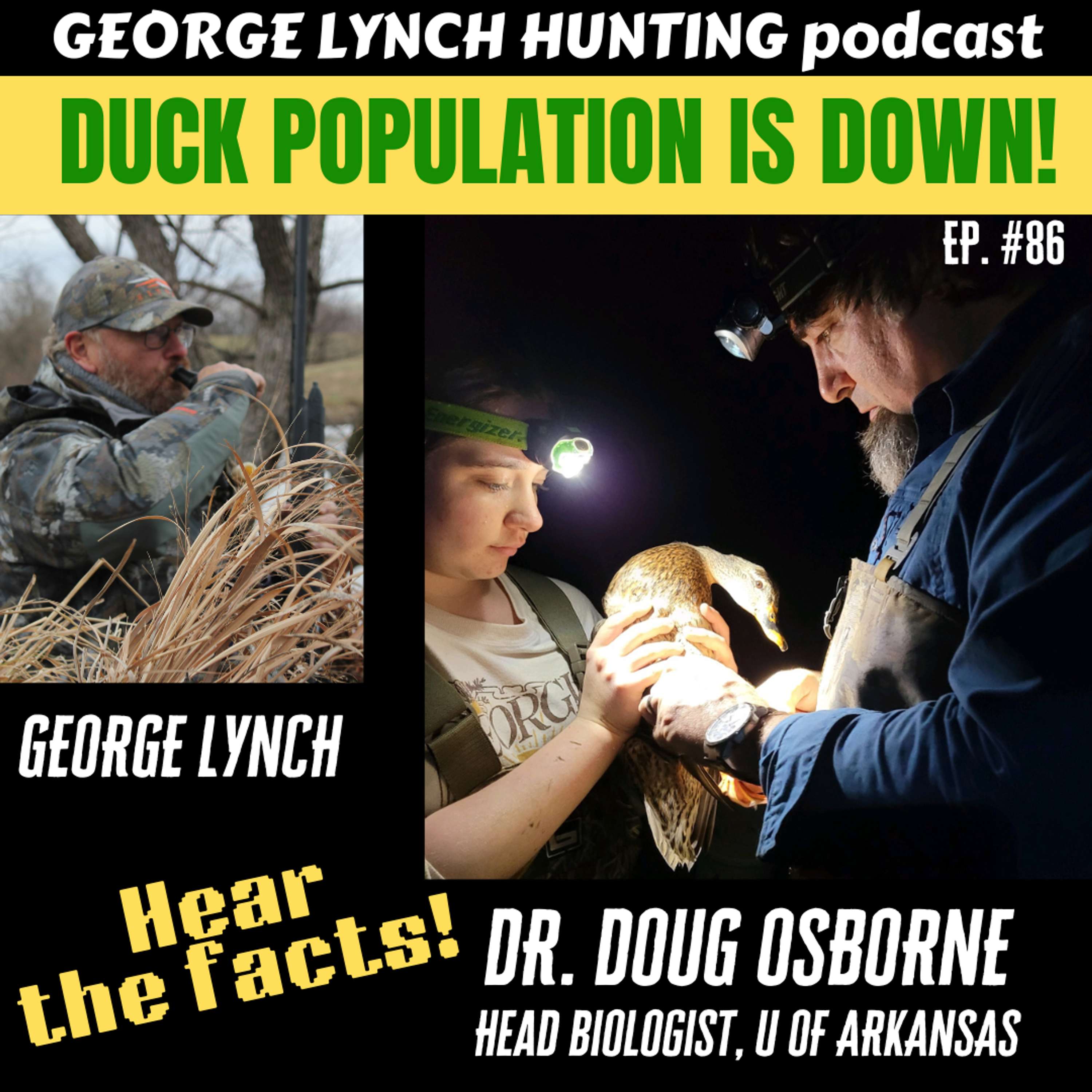 DUCK POPULATION is DOWN! Hear the Facts from DR. DOUG OSBORNE, Head Biologist at Univ of Arkansas