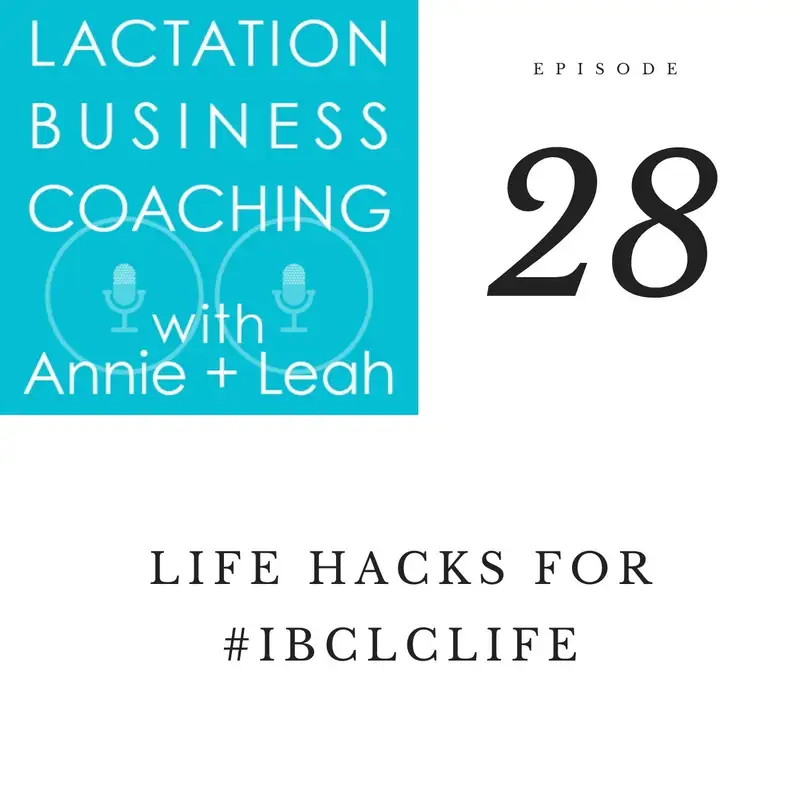 28 | Life Hacks for #IBCLCLIFE