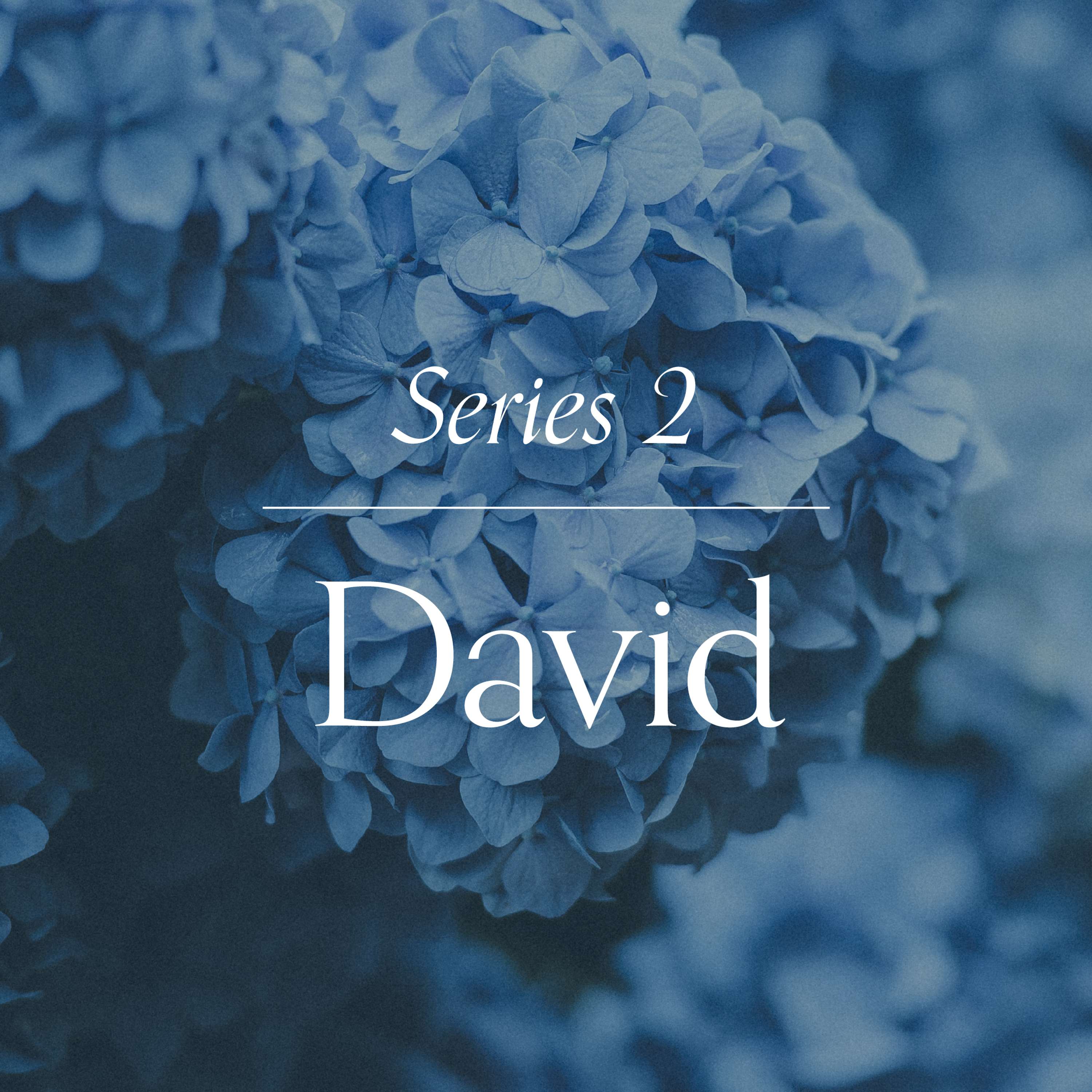 David (Series 2)