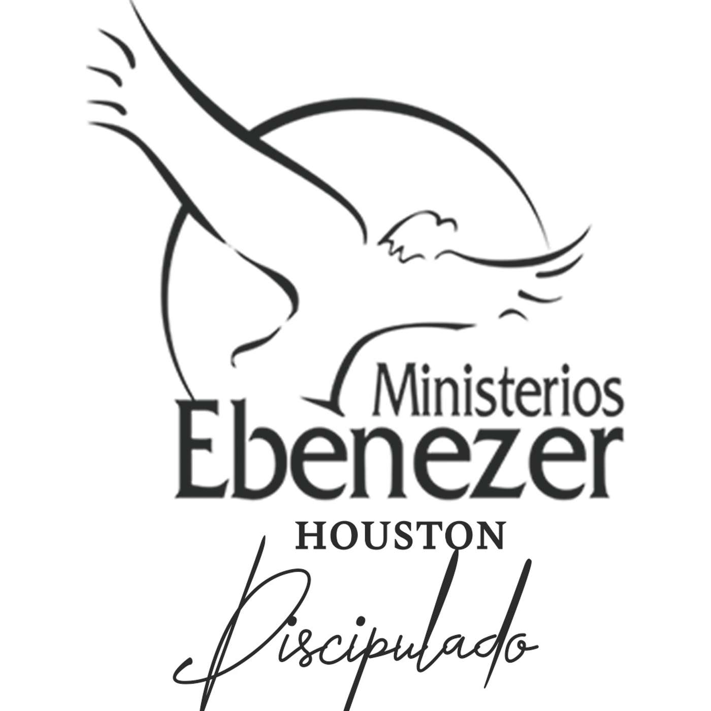 Discipulado de Enseñanza