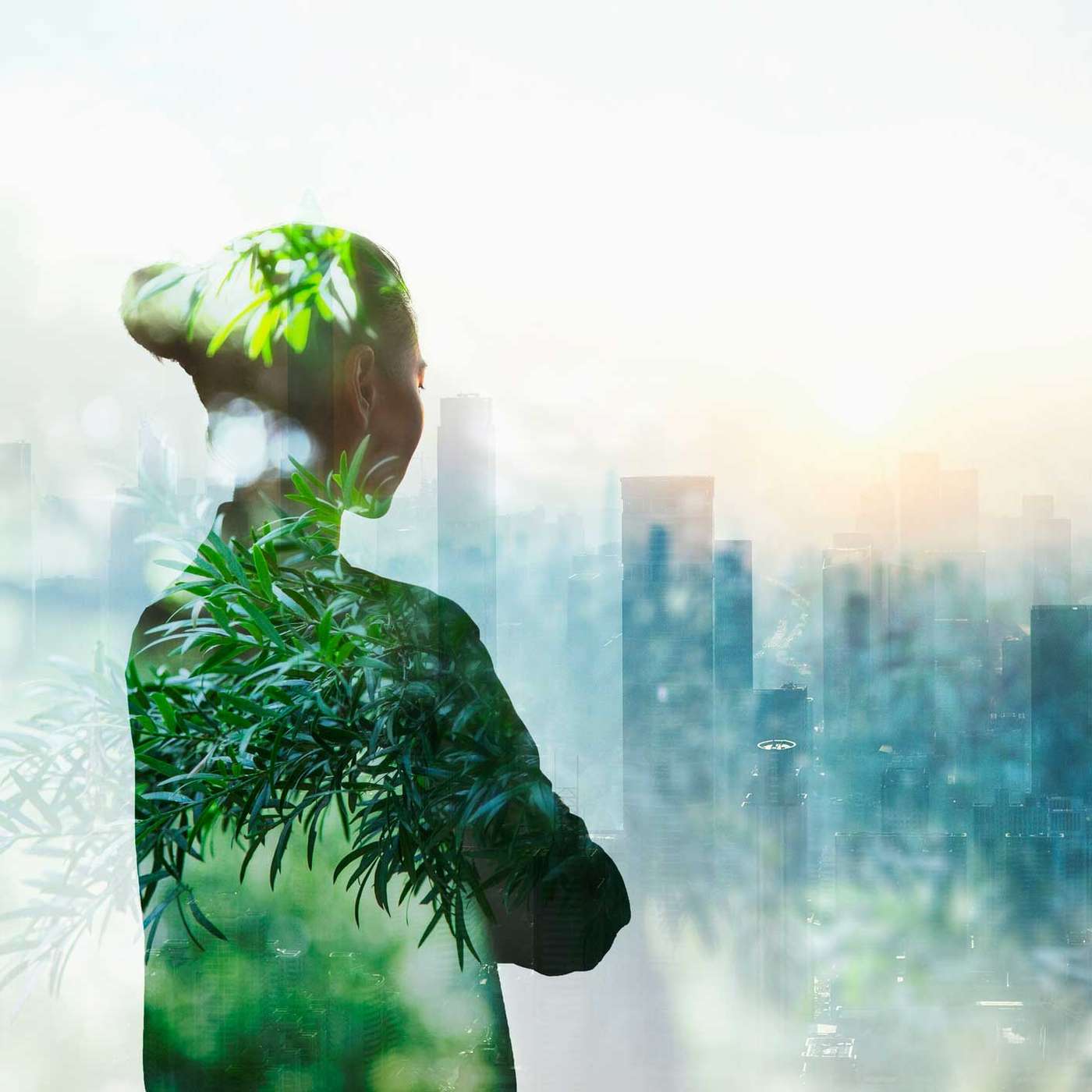 Step by Radical Step: The Route to a Flourishing New Economy with Colleen Schneider