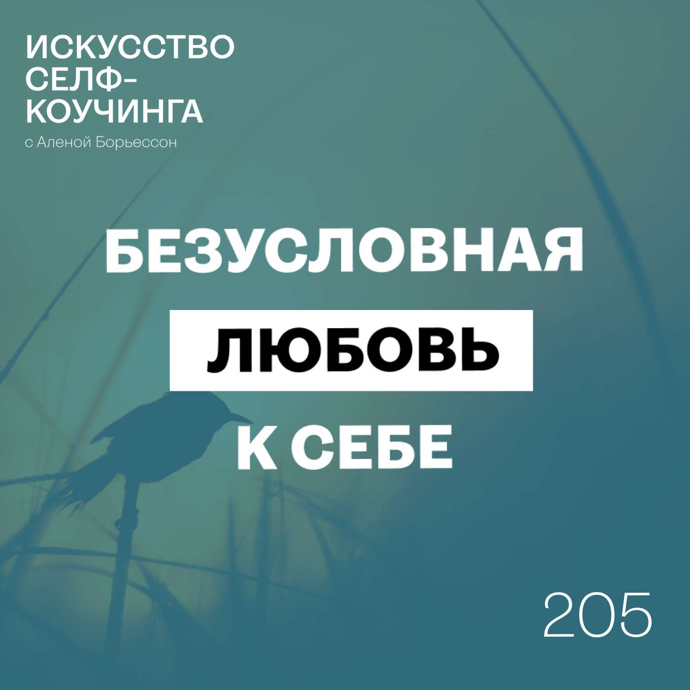 205. Безусловная любовь к себе.