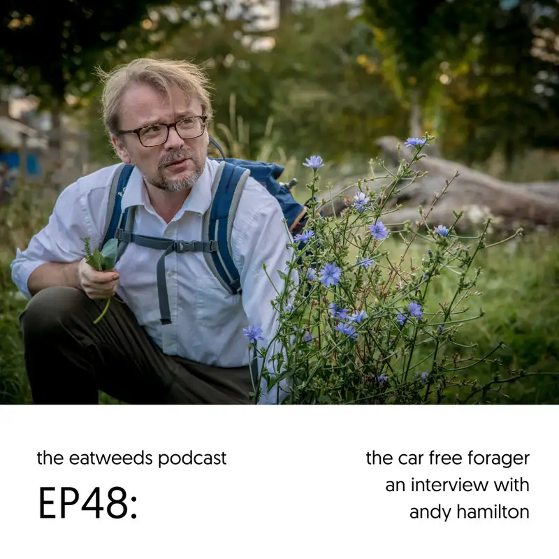EP48: The Car Free Forager - An Interview With Andy Hamilton
