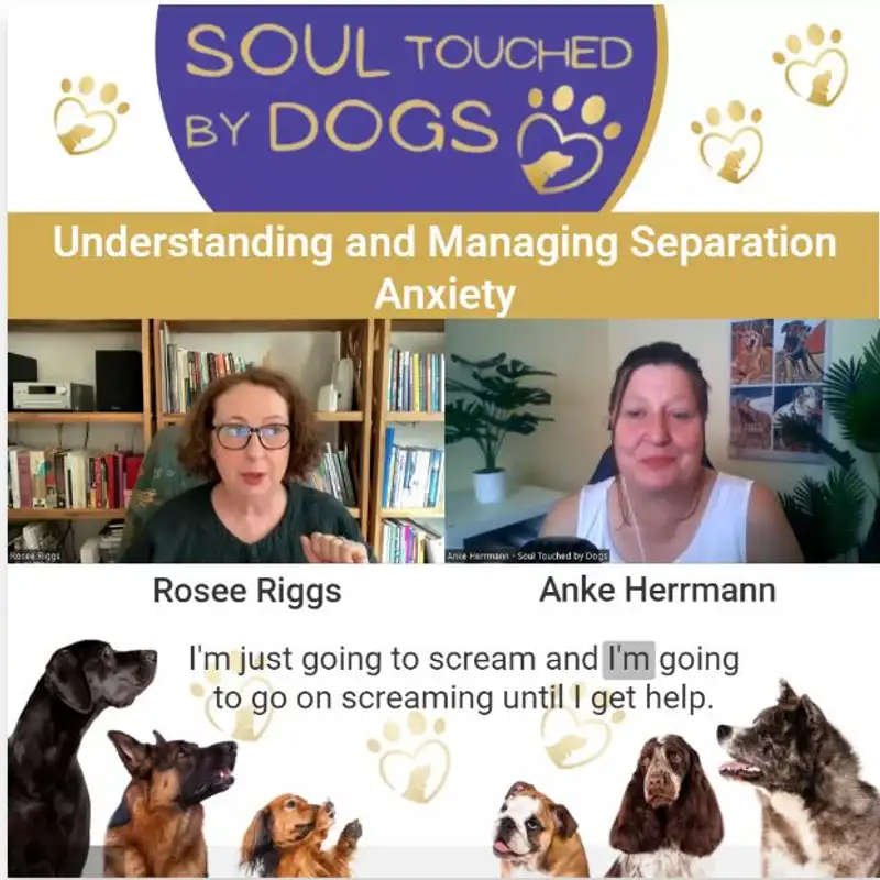 Rosee Riggs - Understanding and Managing Separation Anxiety