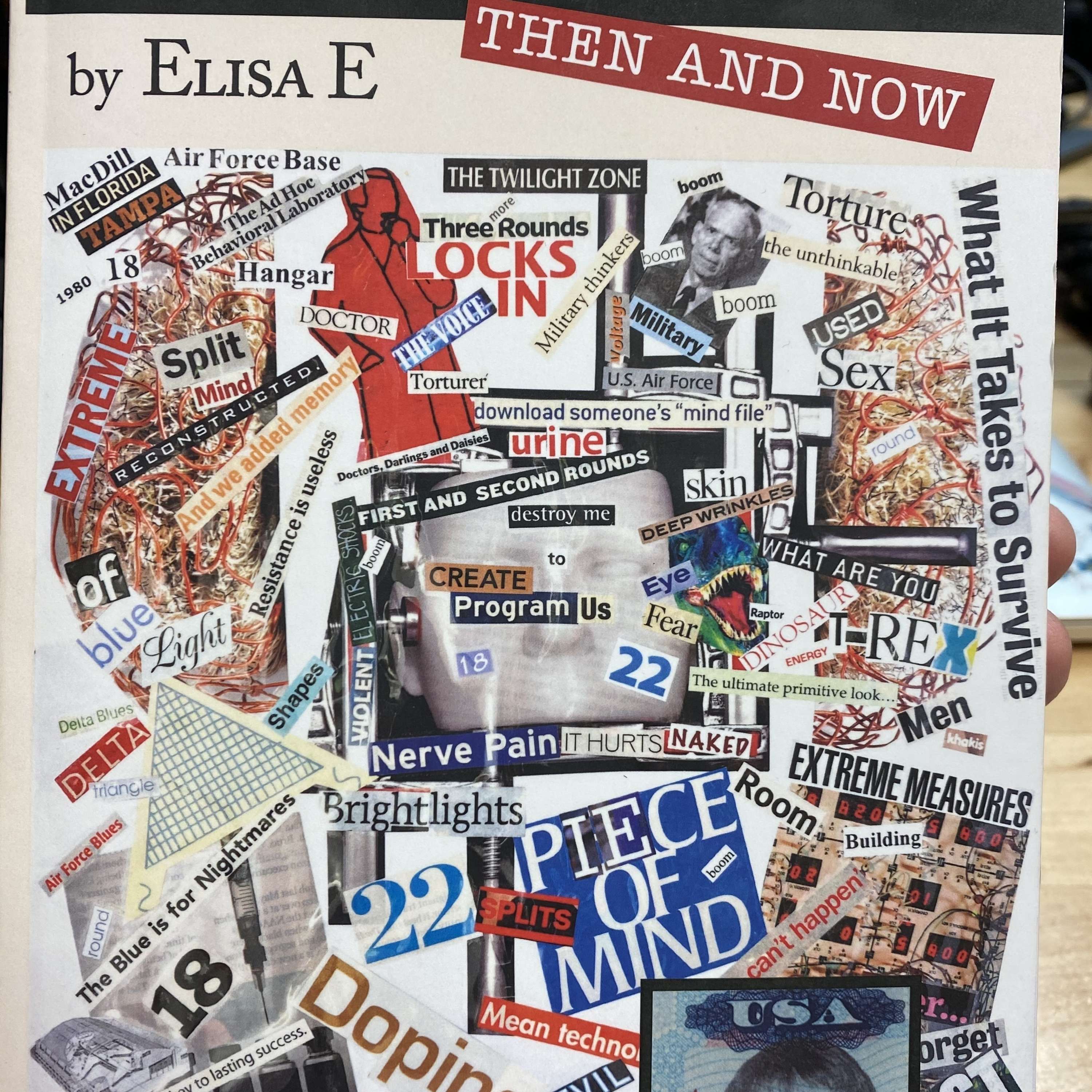 Zoom Chron Interview with Elisa E thumbnail
