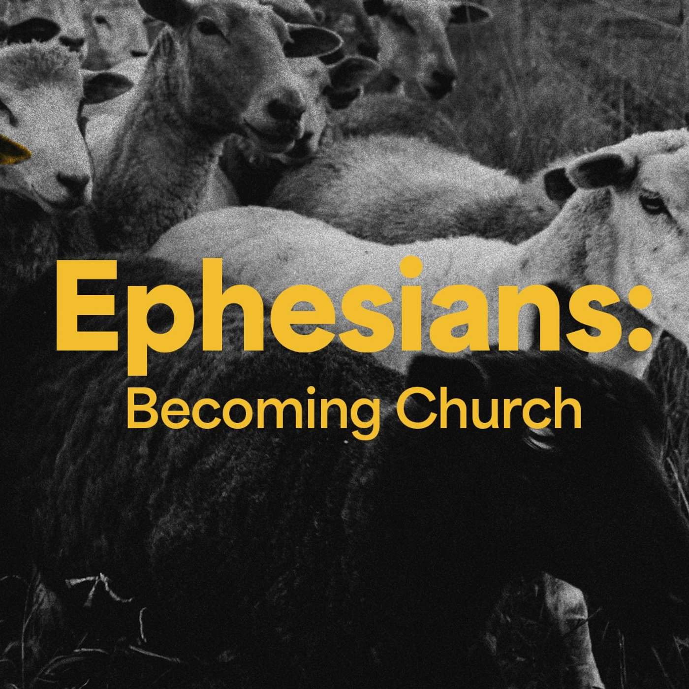 Ephesians Week 5: The Love of God Ephesians Week 5: The Love of God