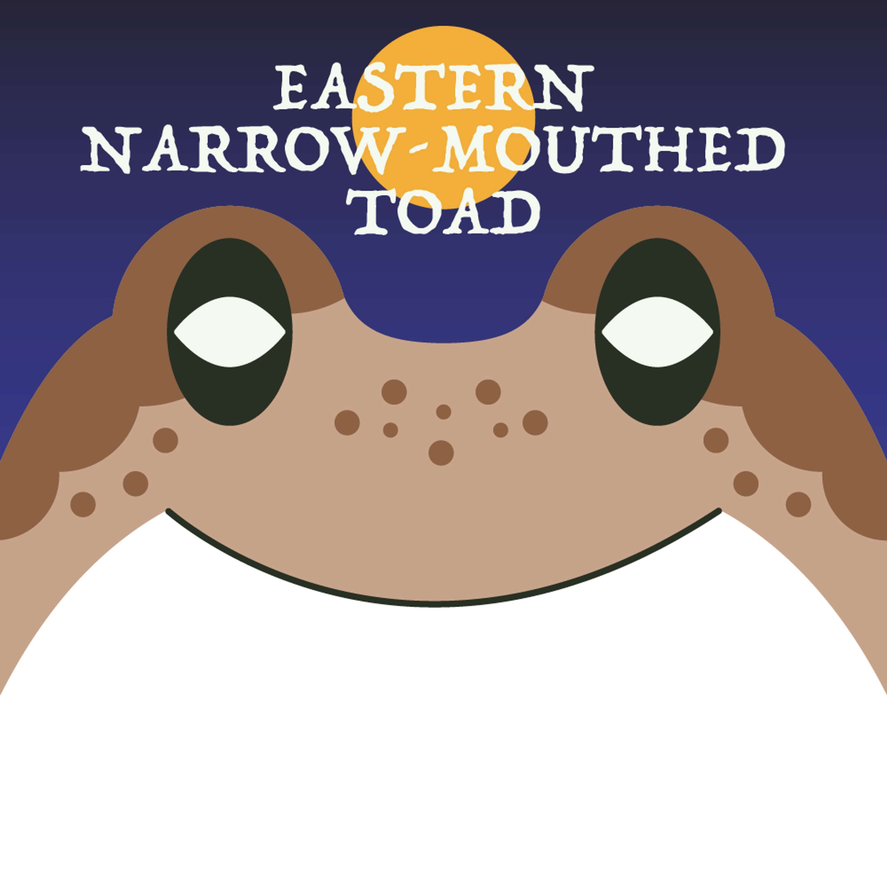 Eastern Narrow-Mouthed Toad | Week of OcTOADber 14th