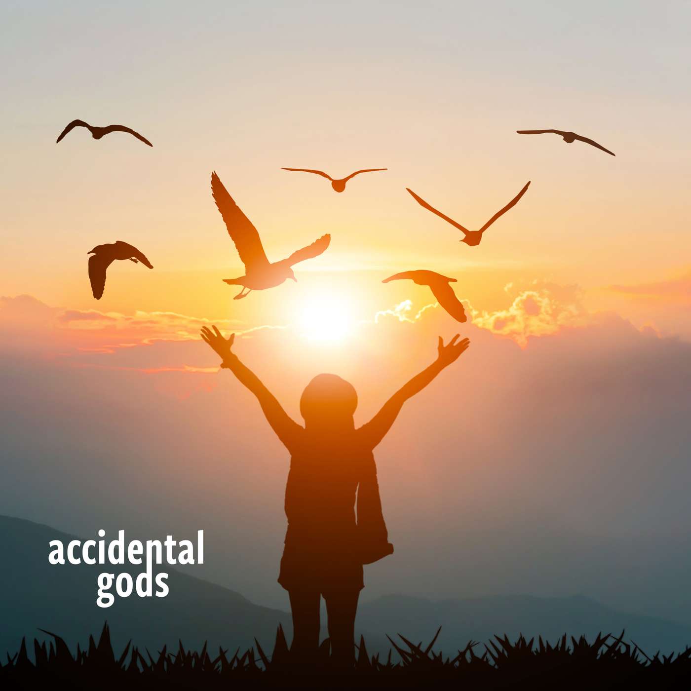 Accidental Gods