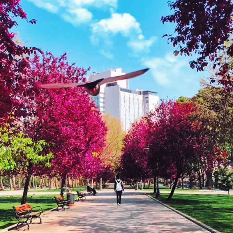 Palaces For The People: Você acha parques importantes?