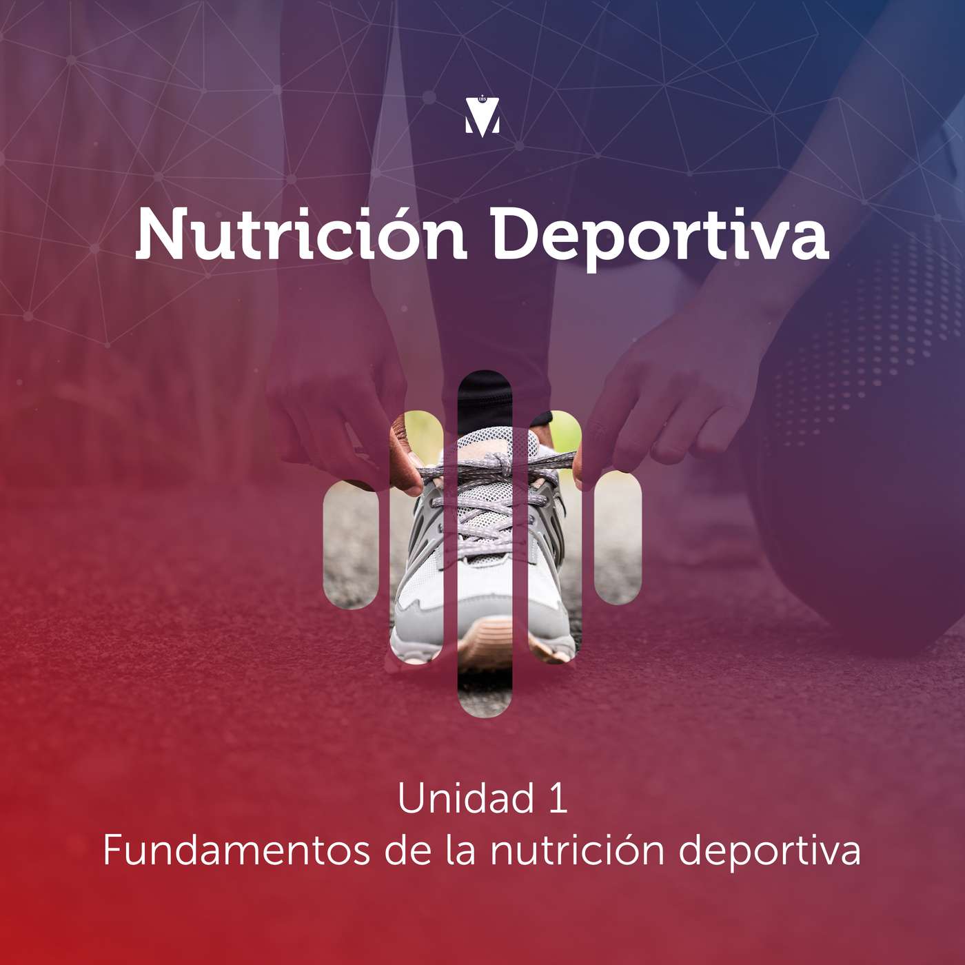 1 - NUTRICIÓN DEPORTIVA: Unidad 1 - Fundamentos de la nutrición deportiva