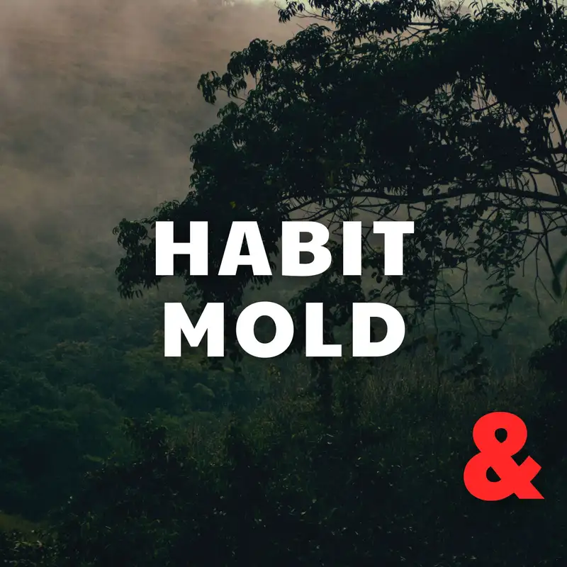 Habit Mold