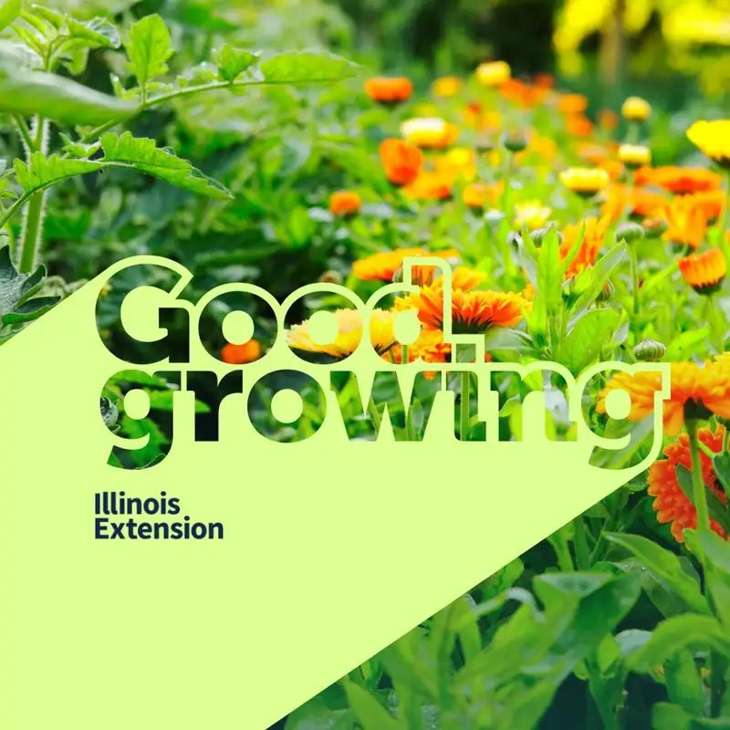 Gardenbite: Companion Planting w/ Nick Frillman |#GoodGrowing