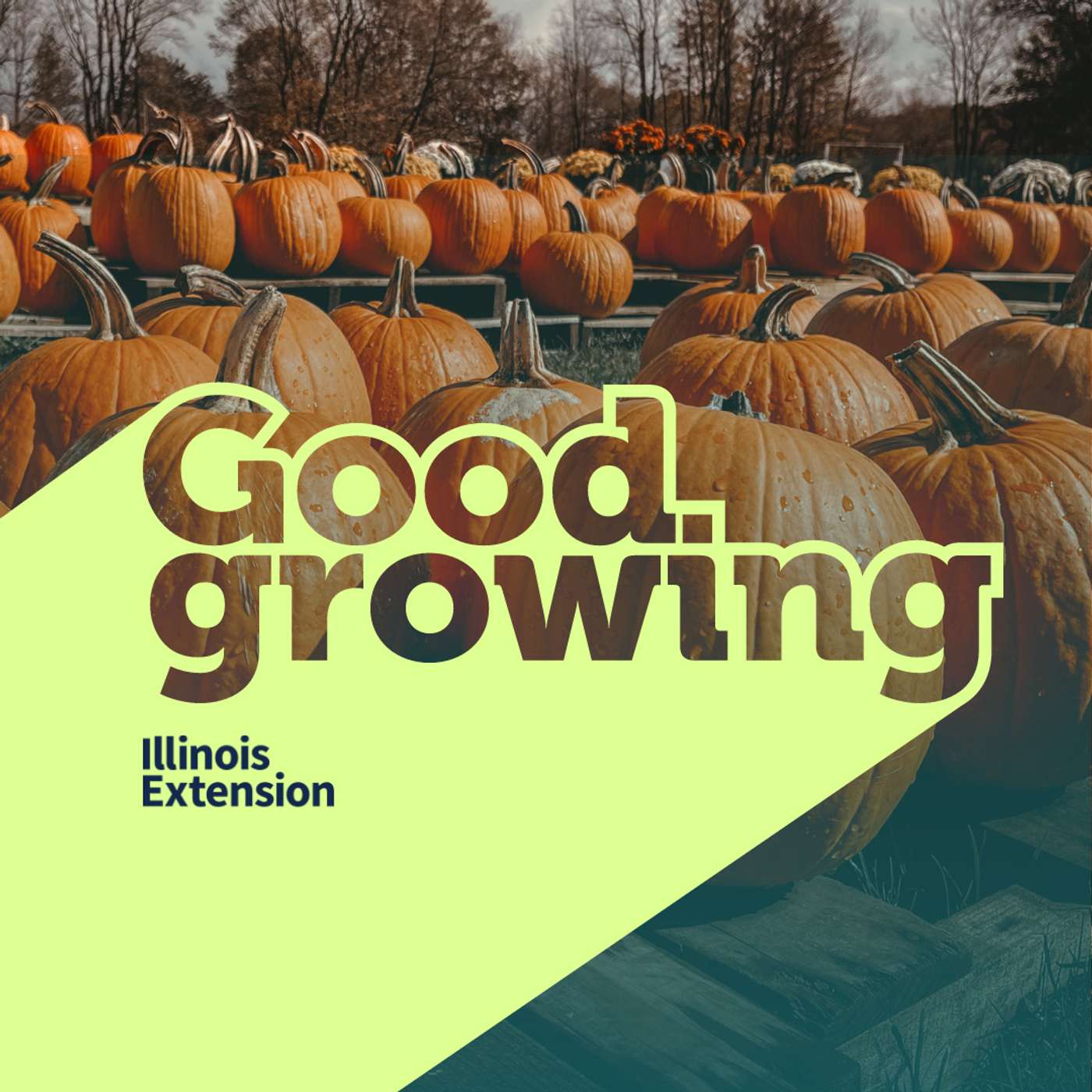 Good Growing