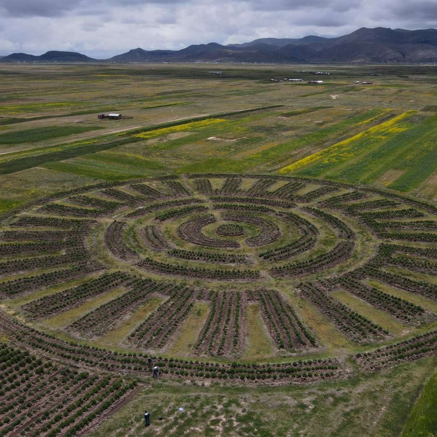 Linux 6.12 Enhances Real-Time Performance, OpenAI Account Hacked, AI Unveils 303 Nazca Geoglyphs, Meta Launches Celebrity AI Voices, and more...