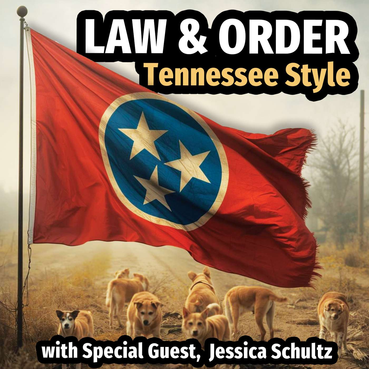 Law & Order: Tennessee Style (with Special Guest, Jessica Schultz)