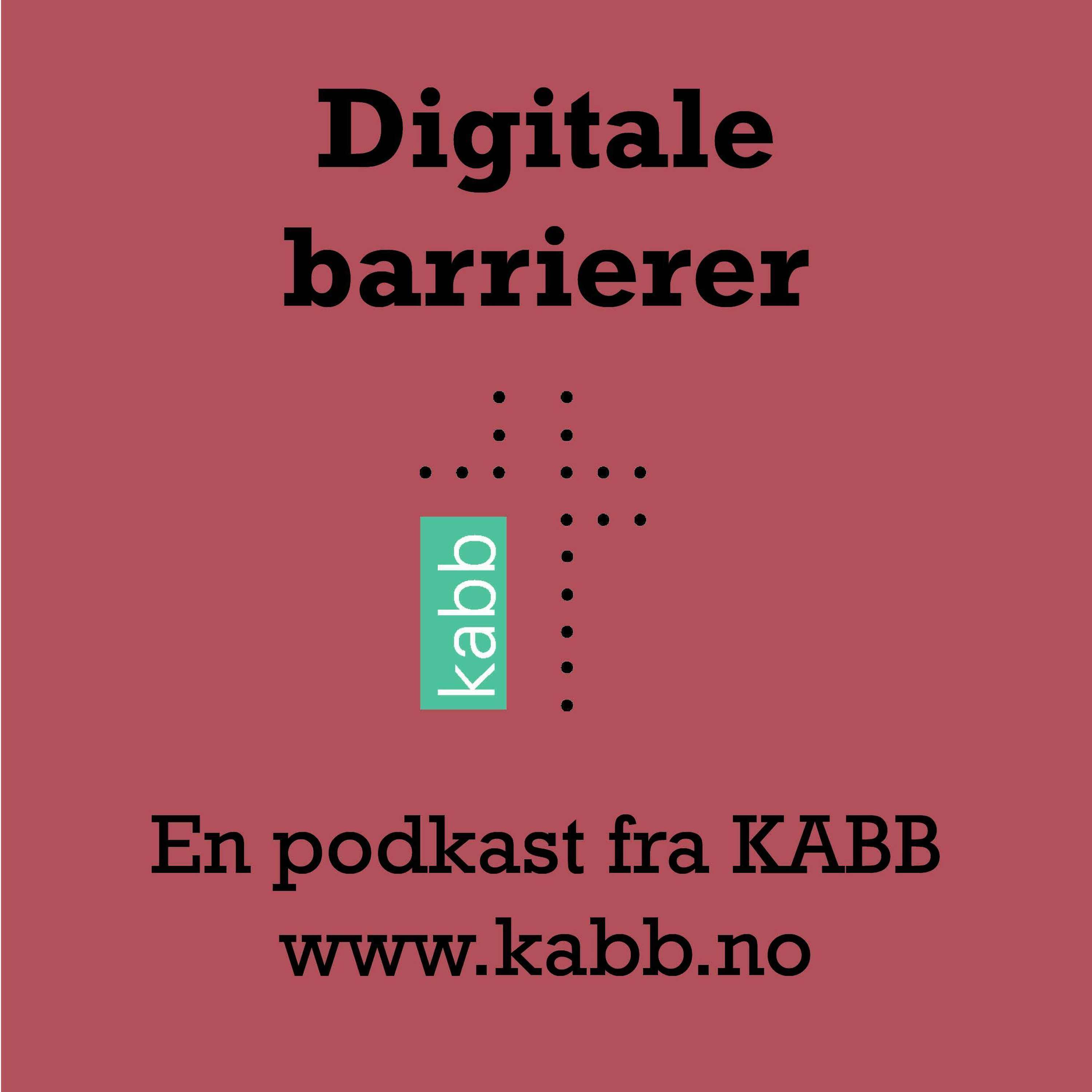 «Digitale barrierer del2»