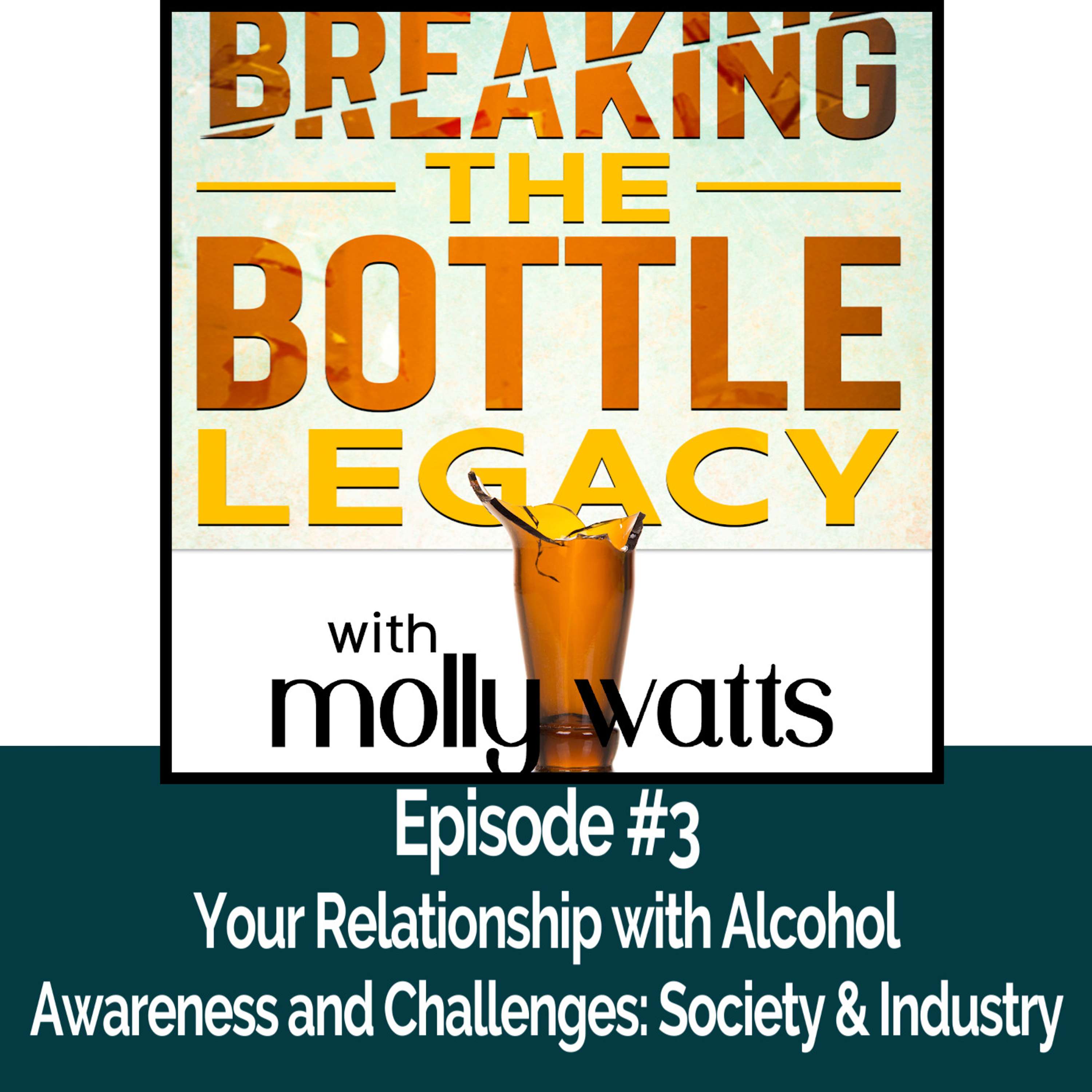 cover of episode Your Relationship with Alcohol/Awareness and Challenges: Society and Industry