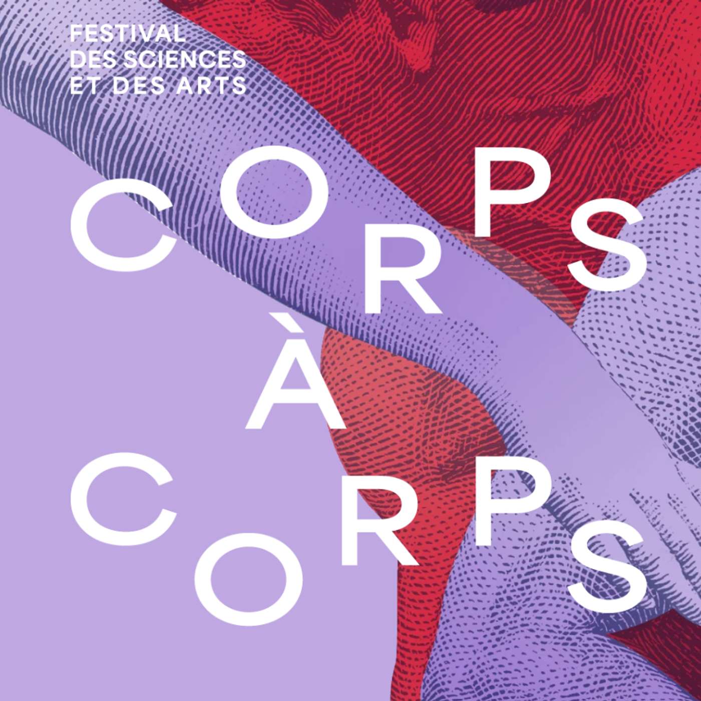 Plateau depuis le Festival des Sciences et des Arts (Corps à Corps ) / Mucem / 2024