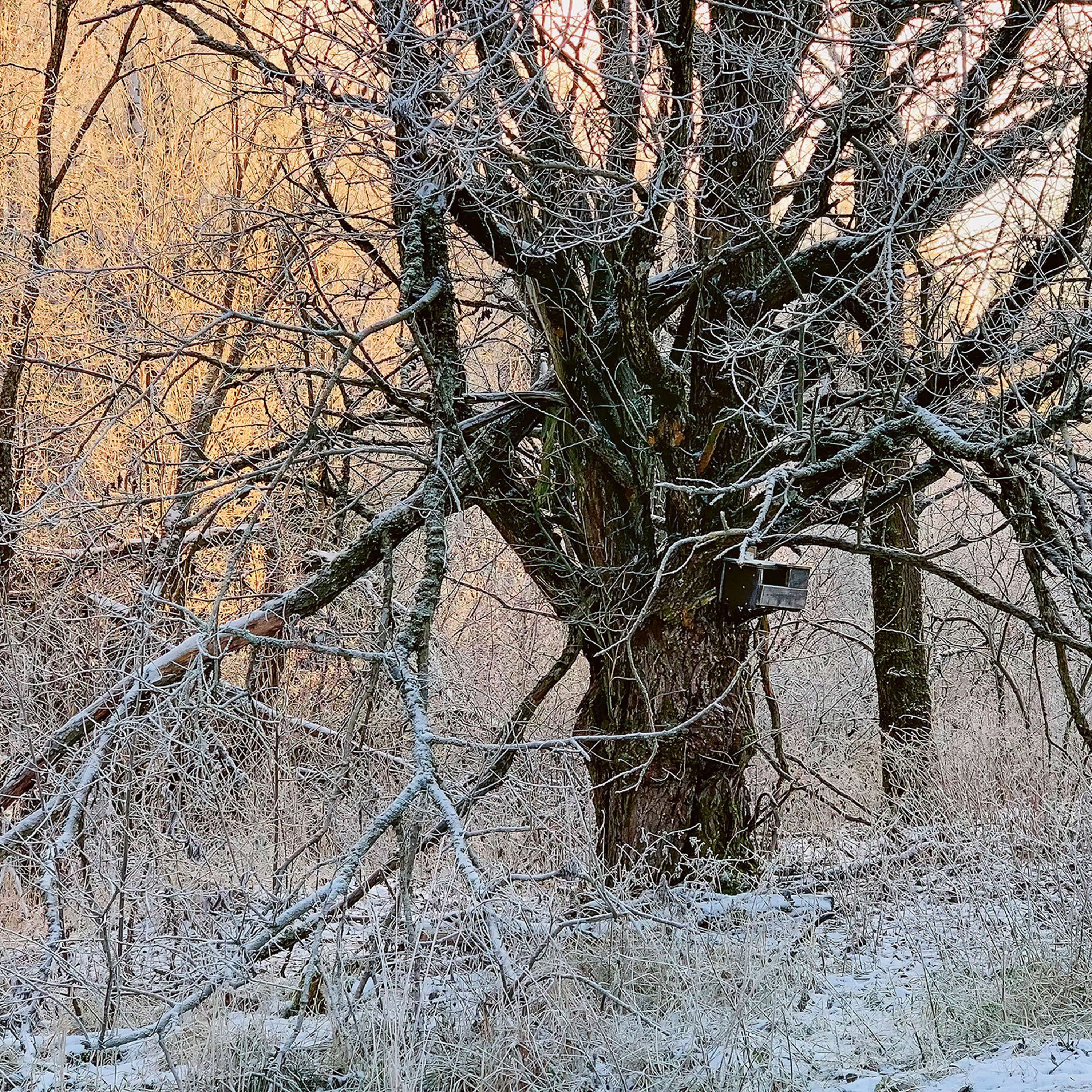 Voima – Äänisisällöt