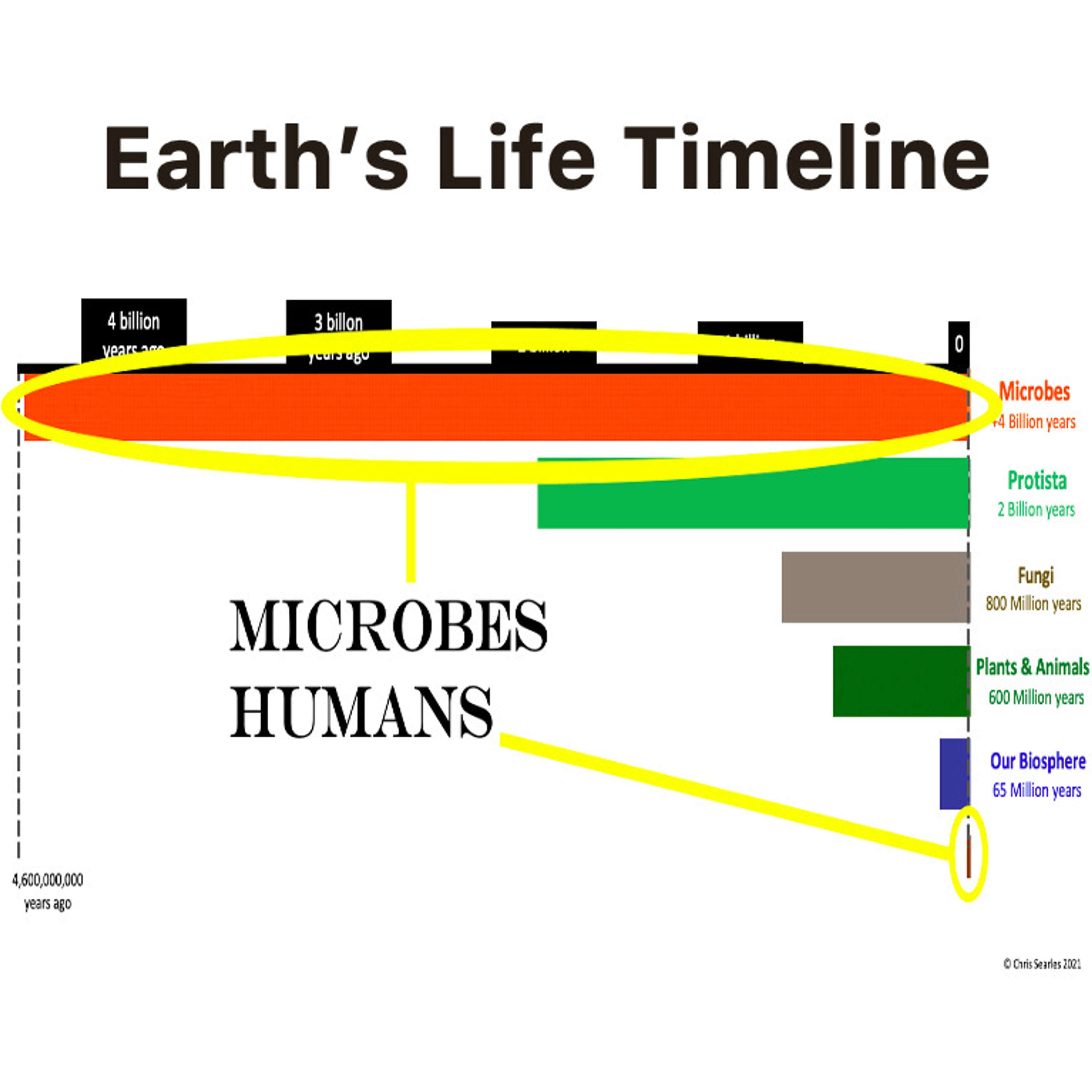 The Life Timeline: Biosphere Earth