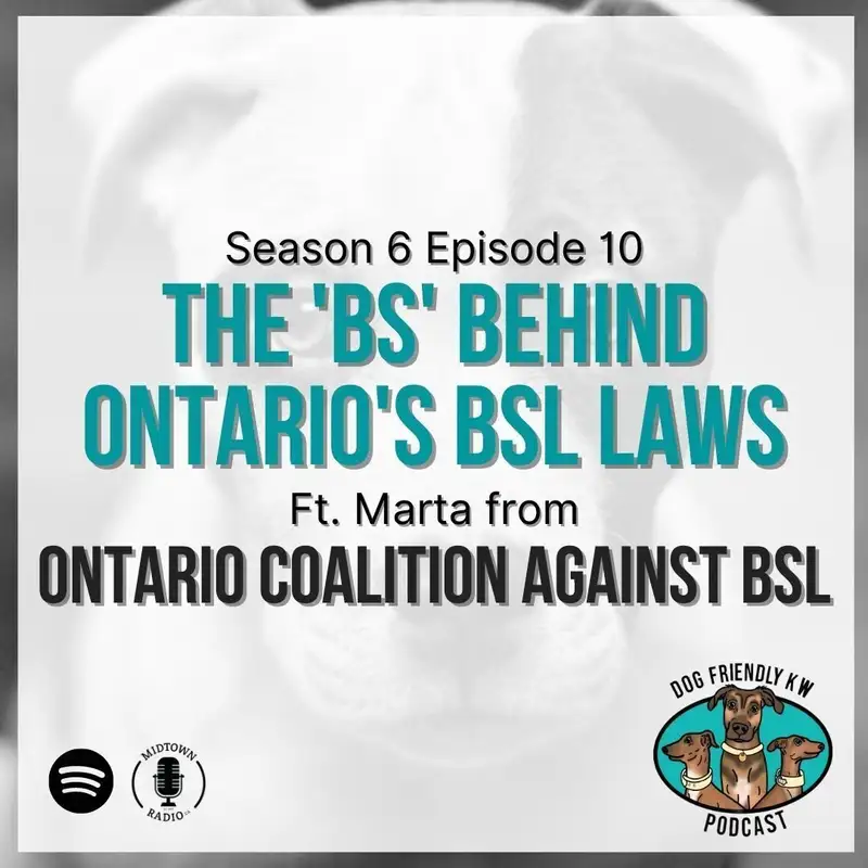 Coalition Against BSL: 'Kibbles and Bits' with Marta from the Ontario Coalition Against BS! 