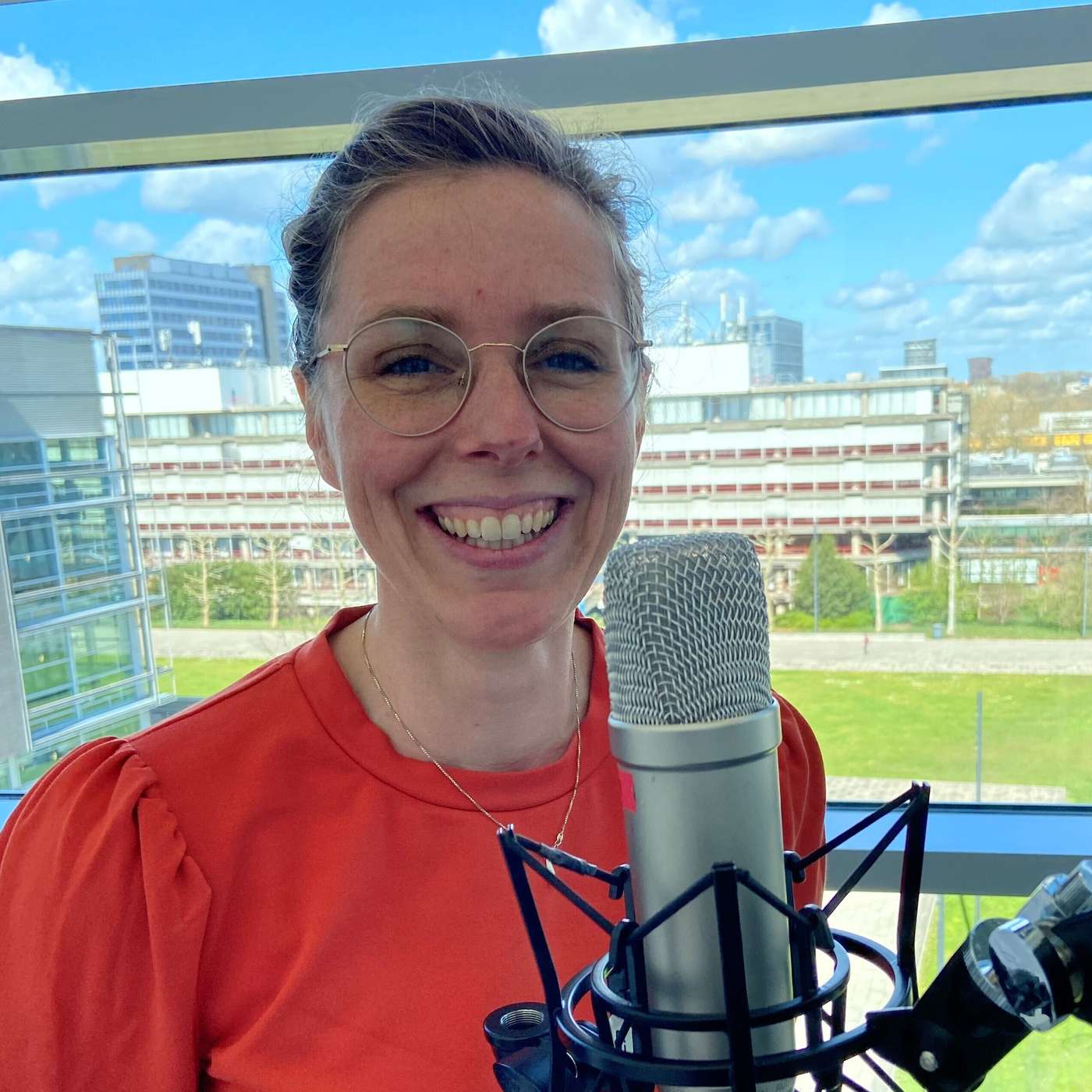 Deep democracy en sabotage gedrag in organisaties - met Annemiek van Poppel