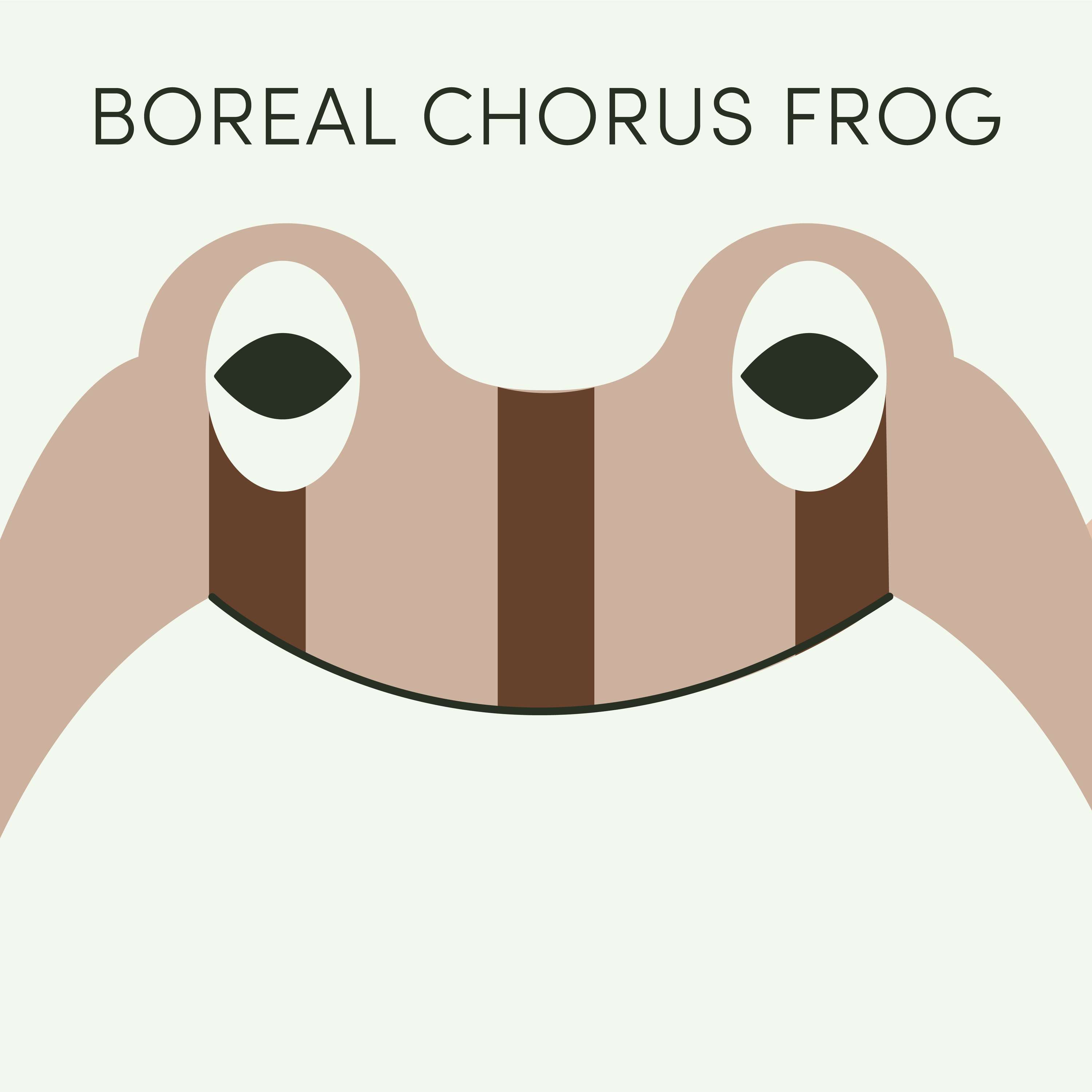 Boreal Chorus Frog | Week of February 20th