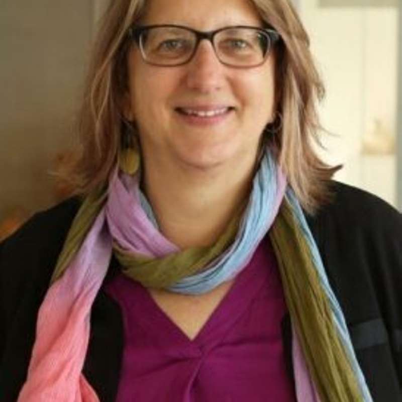 Alexandra Minna Stern