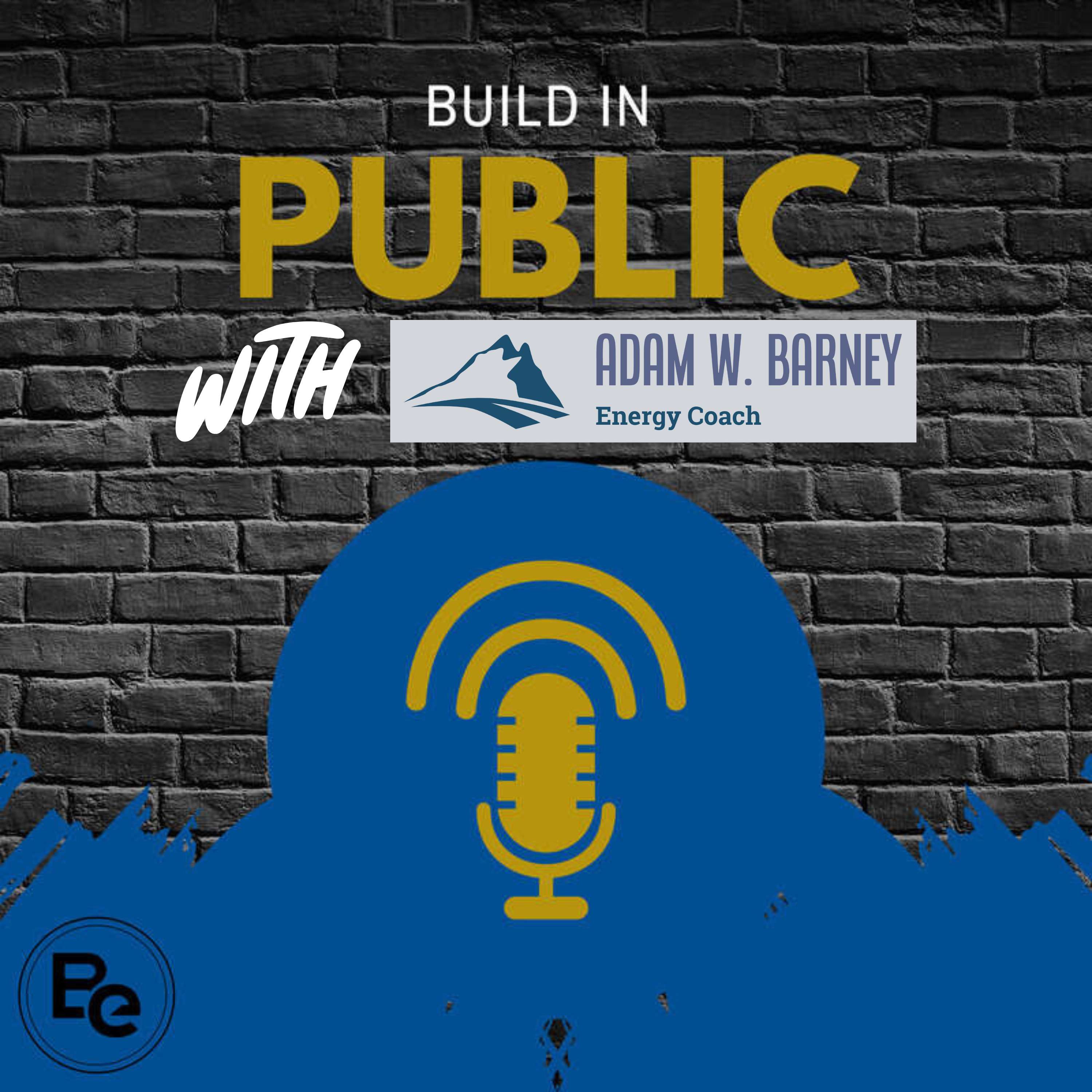 Build in Public Daily