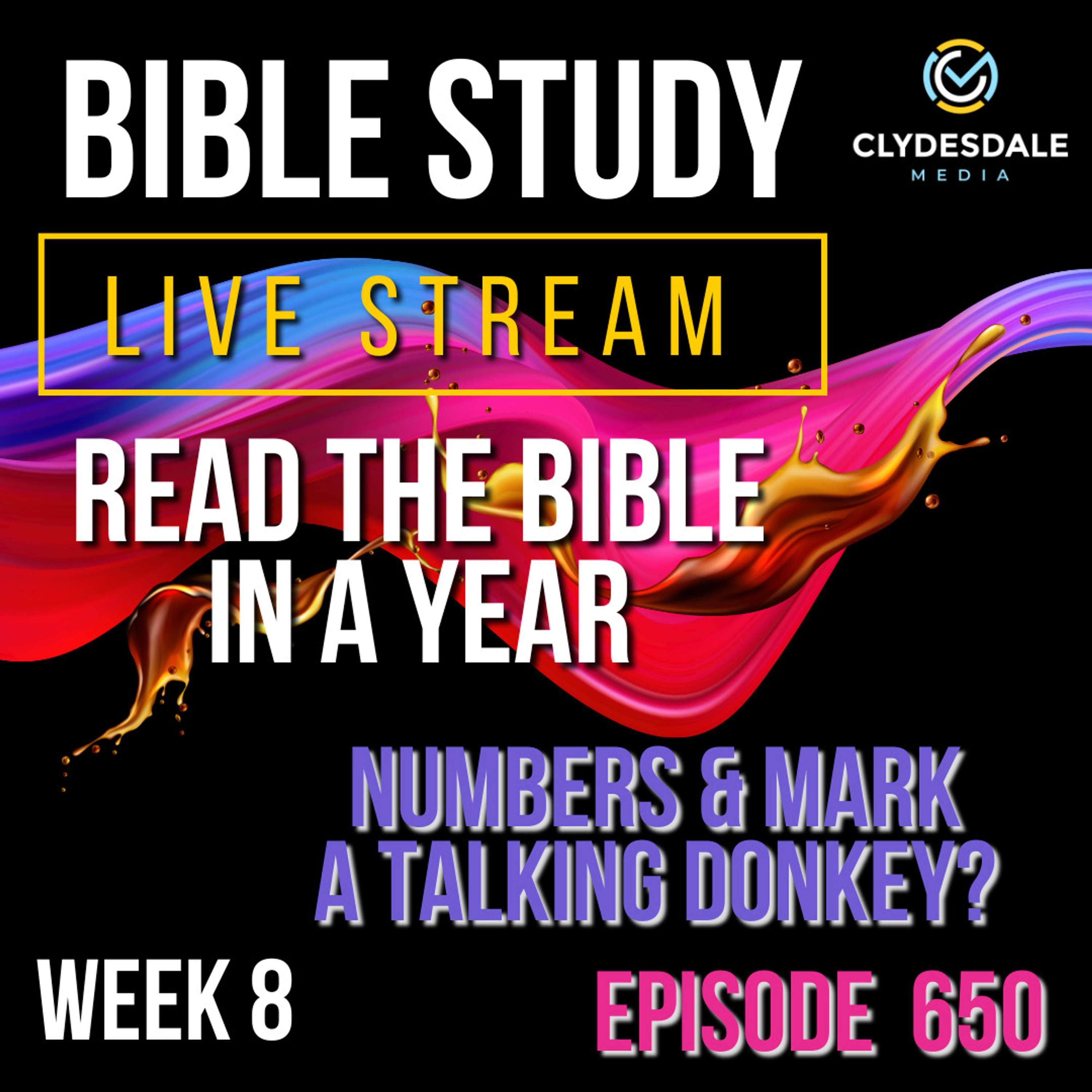 The Clydesdale Media Bible Study - Week 8 Numbers and Mark and... A Talking Donkey?