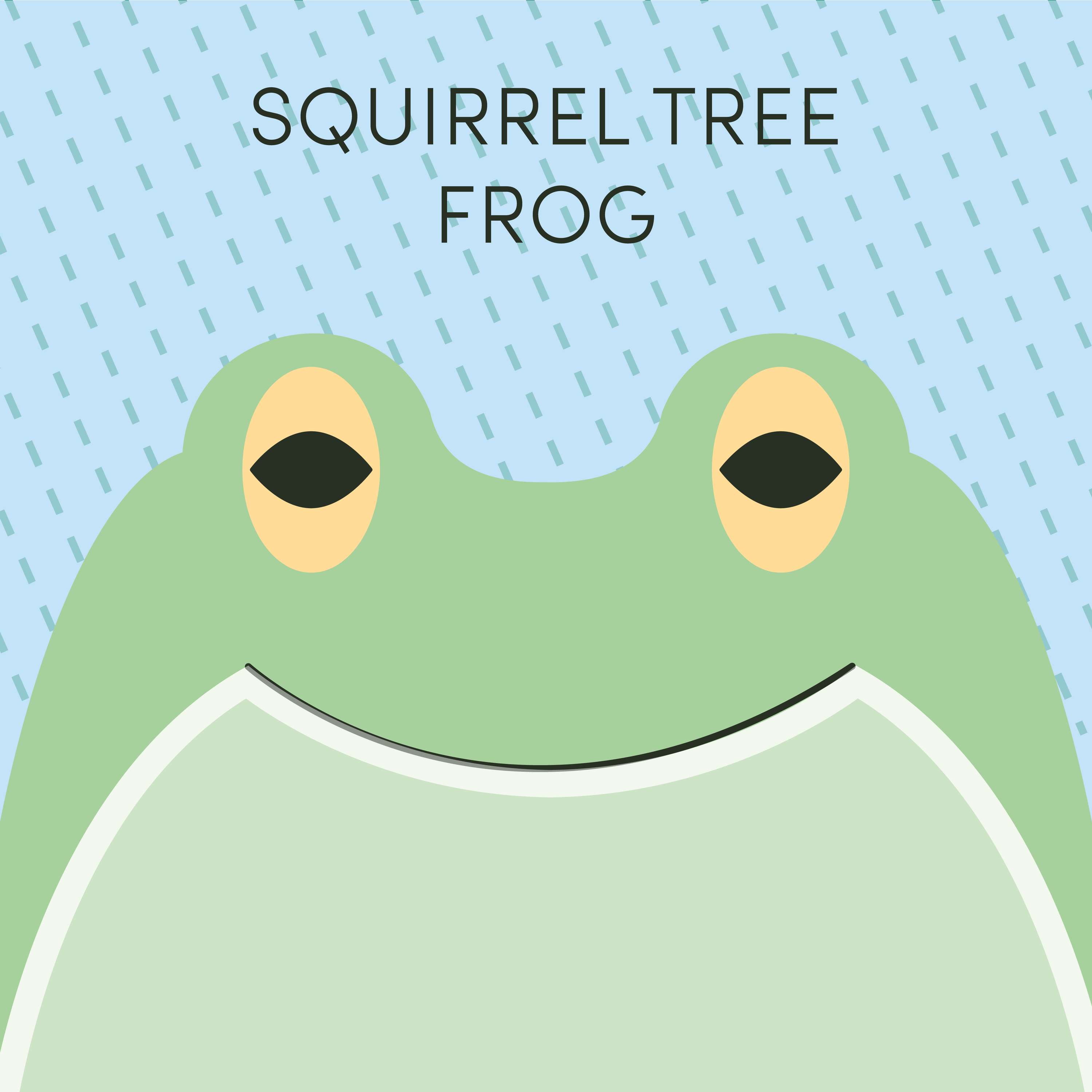 Squirrel Tree Frog | Week of January 23rd