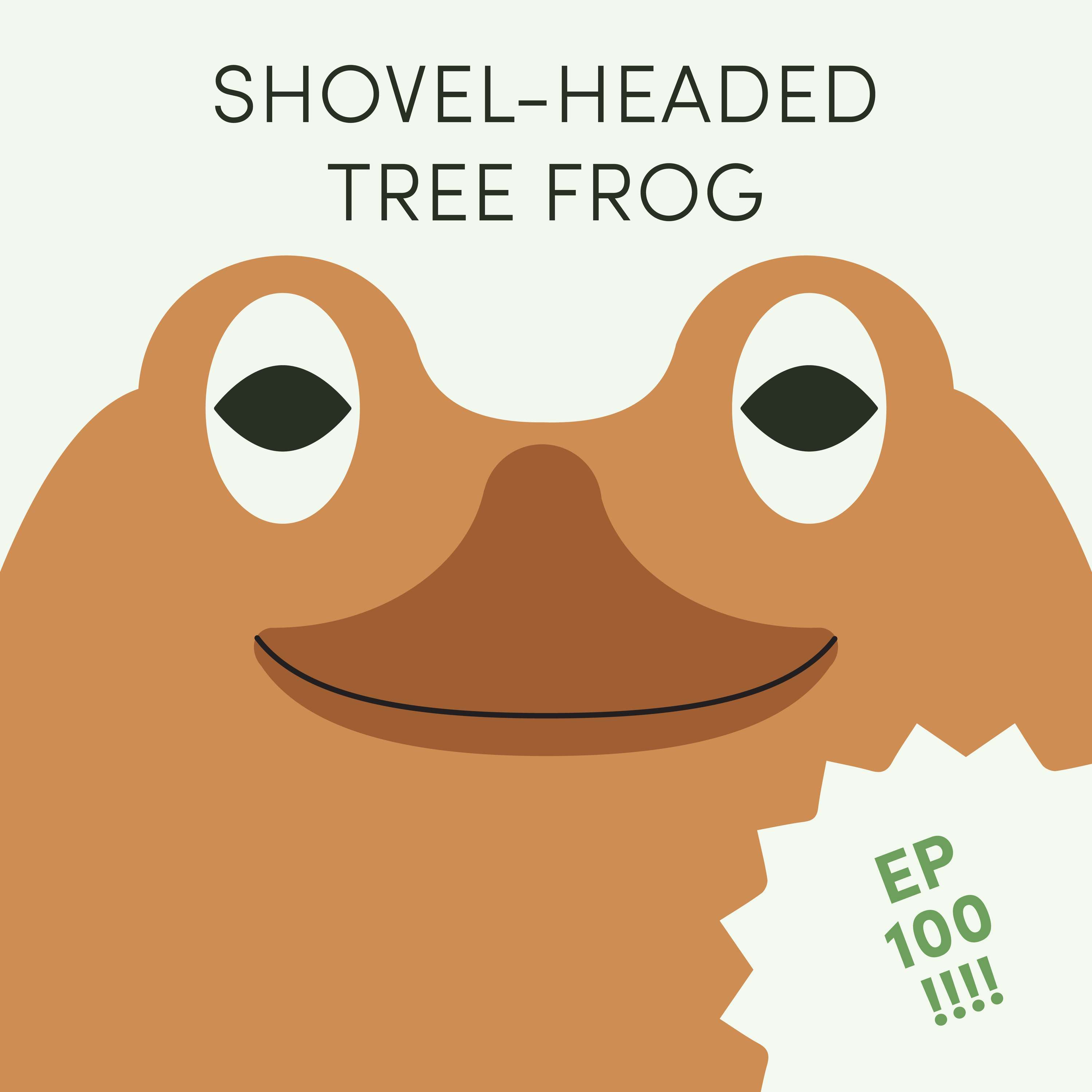 Shovel-Headed Tree Frog | Week of June 12th