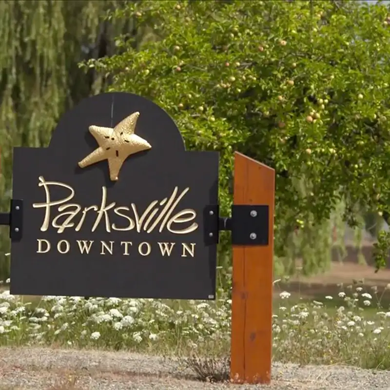 Parksville Downtown Business Association to receive advance funding