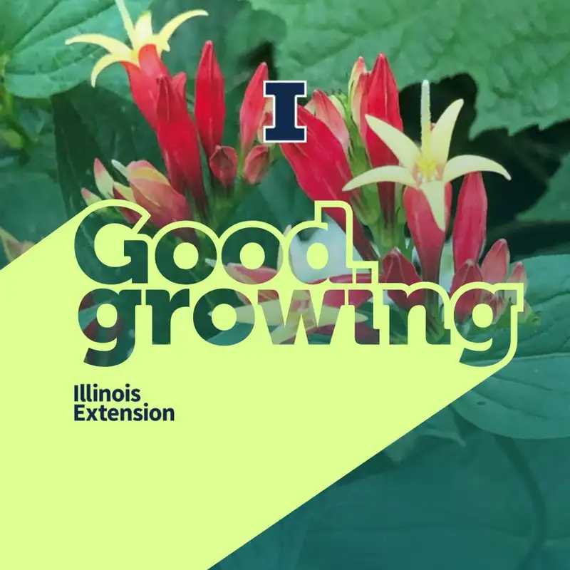 Ep. 85 Favorite flowering plants with Elizabeth Wahle #GoodGrowing