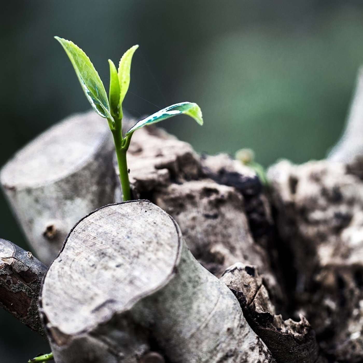 Episode 92 | New Life Prison Ministry Episode 92 | New Life Prison Ministry