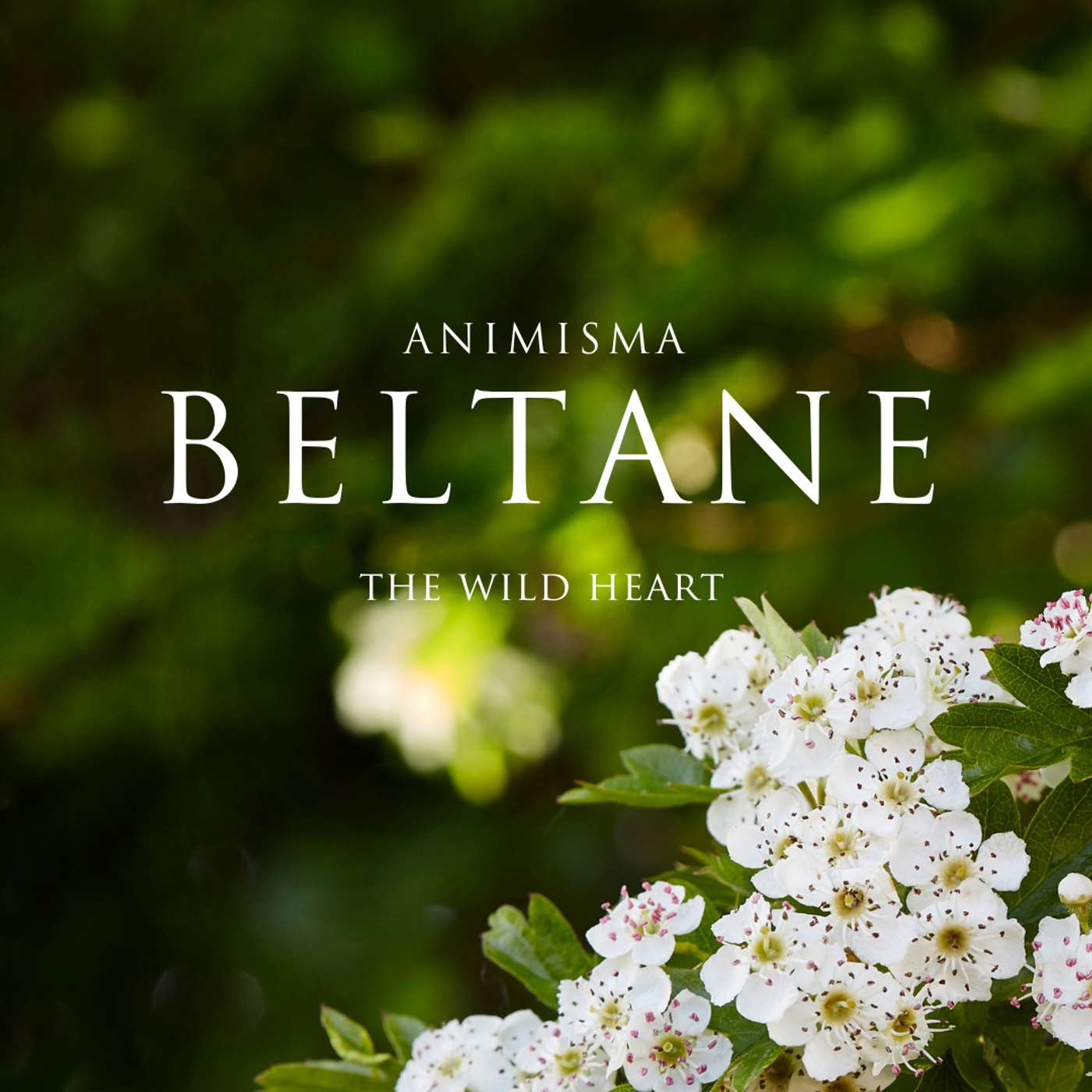 Beltane - The Wild Heart