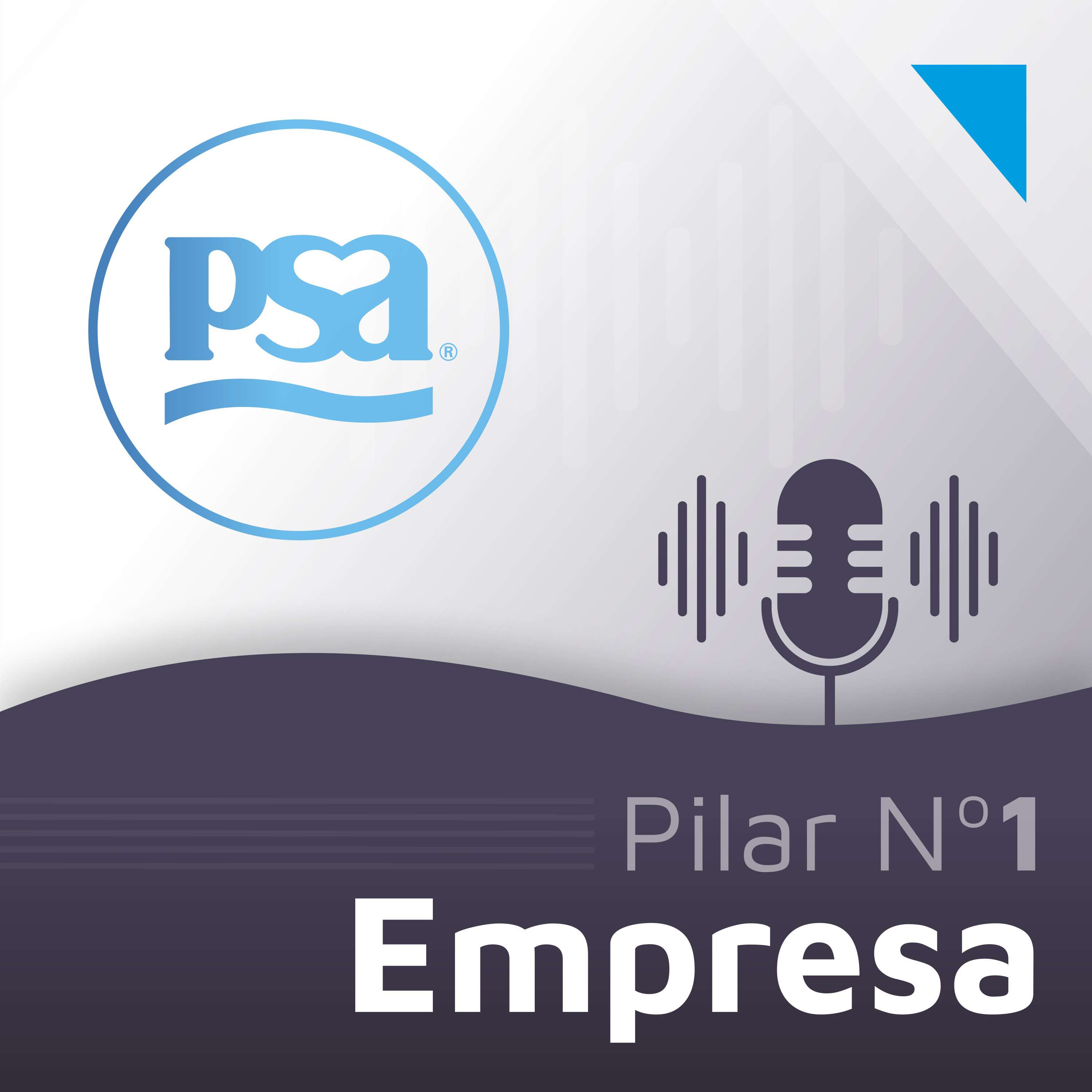 PSA Podcast